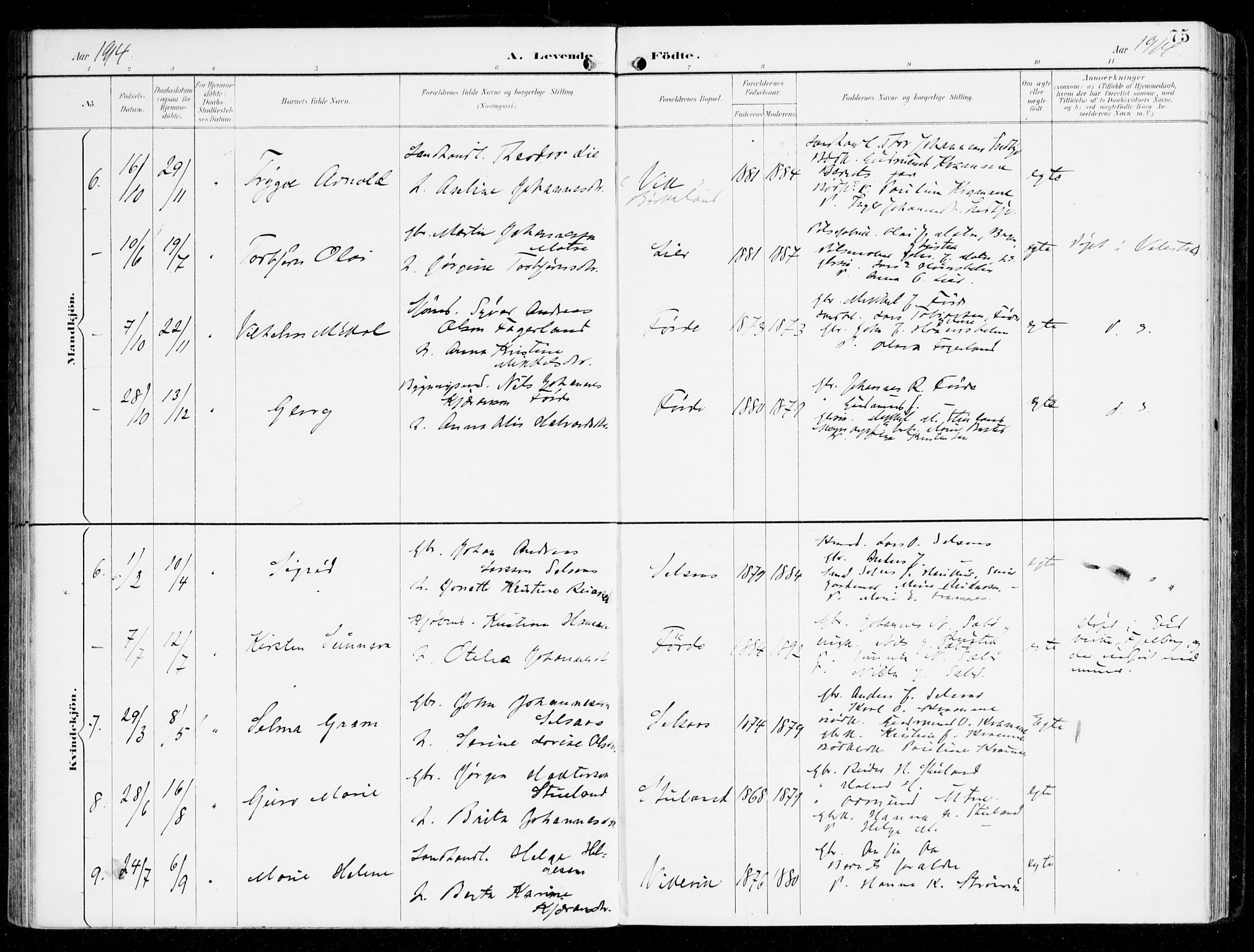 Sveio Sokneprestembete, SAB/A-78501/H/Haa: Parish register (official) no. D 2, 1894-1916, p. 75