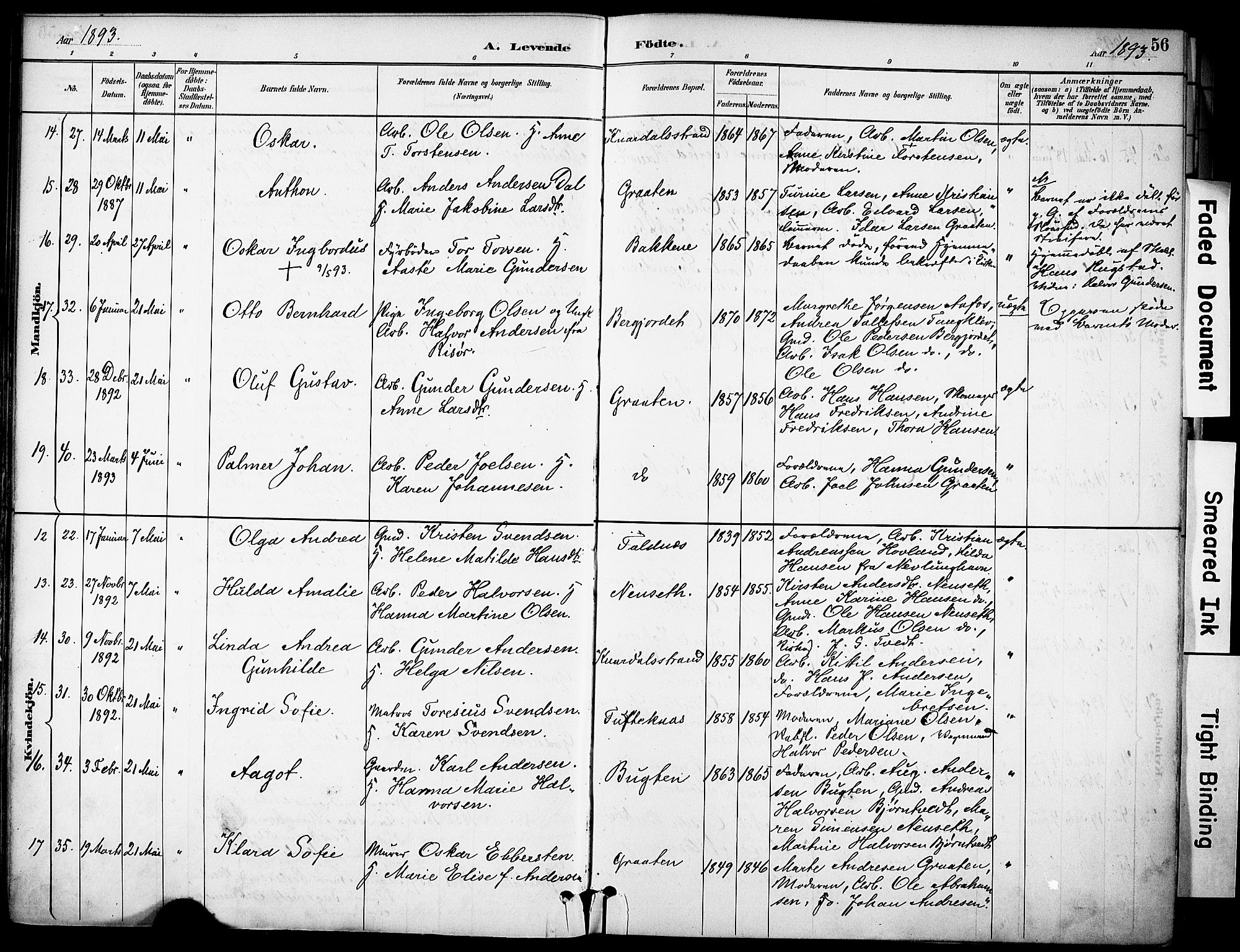 Solum kirkebøker, SAKO/A-306/F/Fa/L0010: Parish register (official) no. I 10, 1888-1898, p. 56