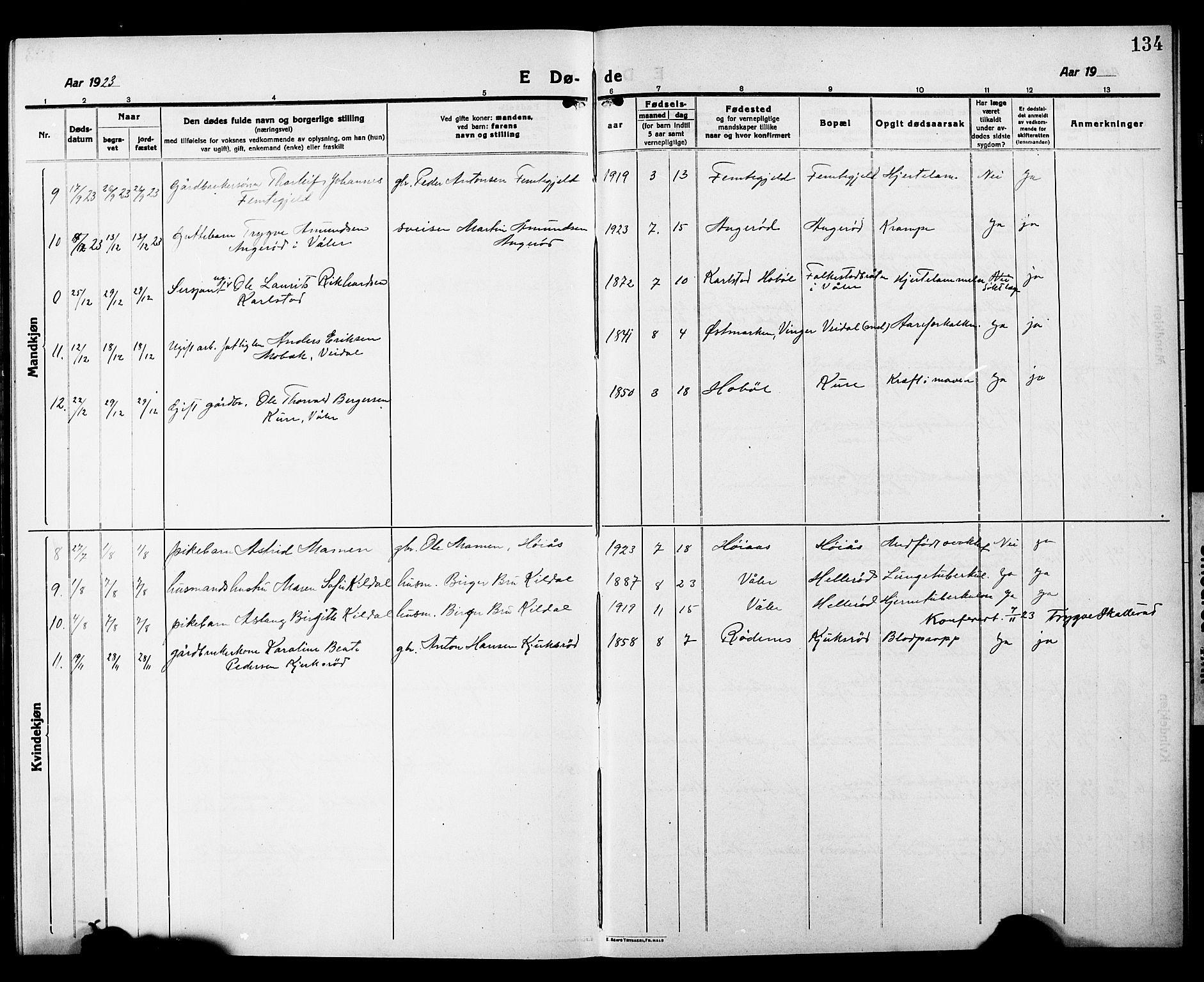Våler prestekontor Kirkebøker, SAO/A-11083/G/Ga/L0005: Parish register (copy) no. I 5, 1915-1931, p. 134