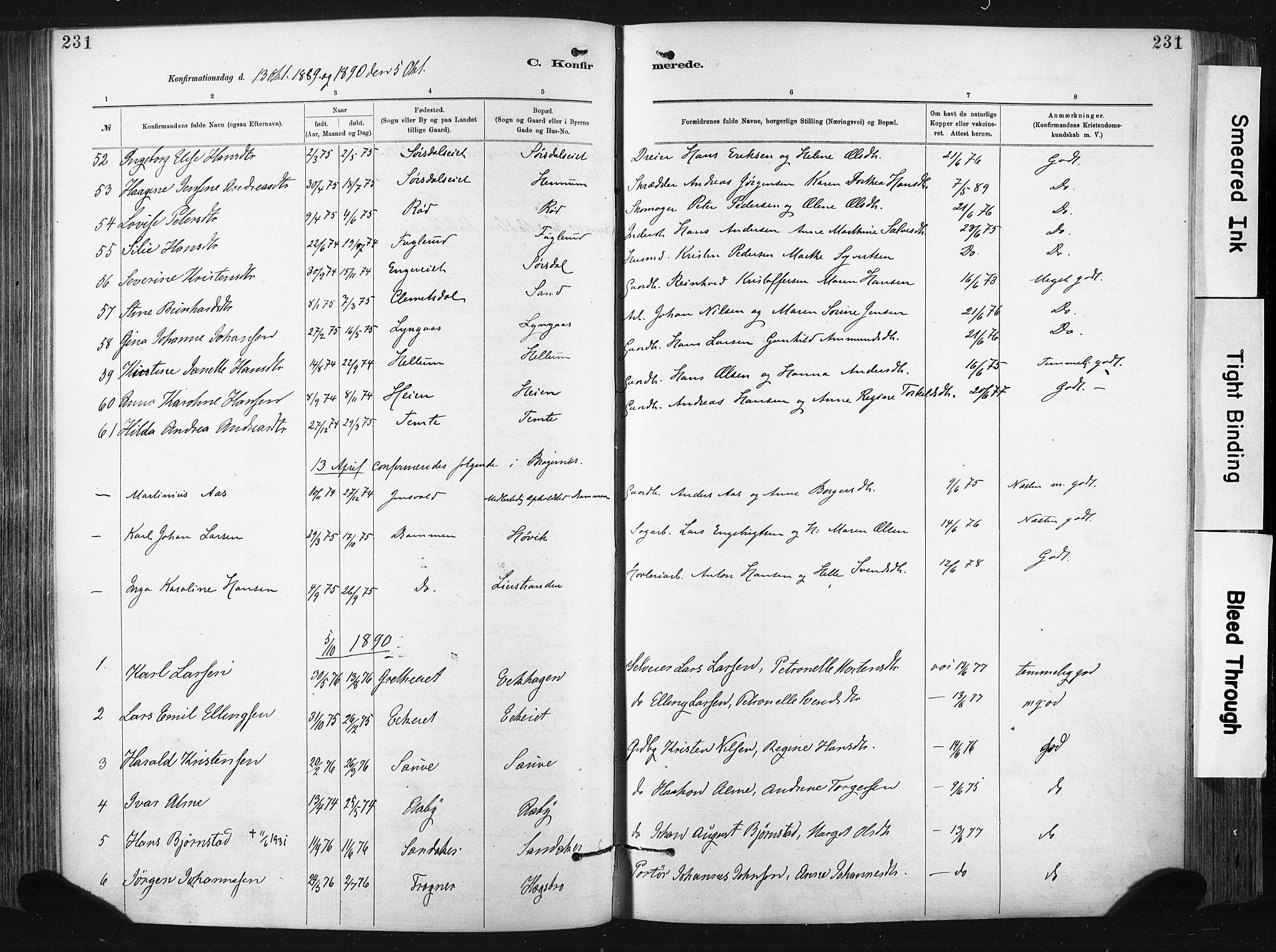 Lier kirkebøker, SAKO/A-230/F/Fa/L0015: Parish register (official) no. I 15, 1883-1894, p. 231