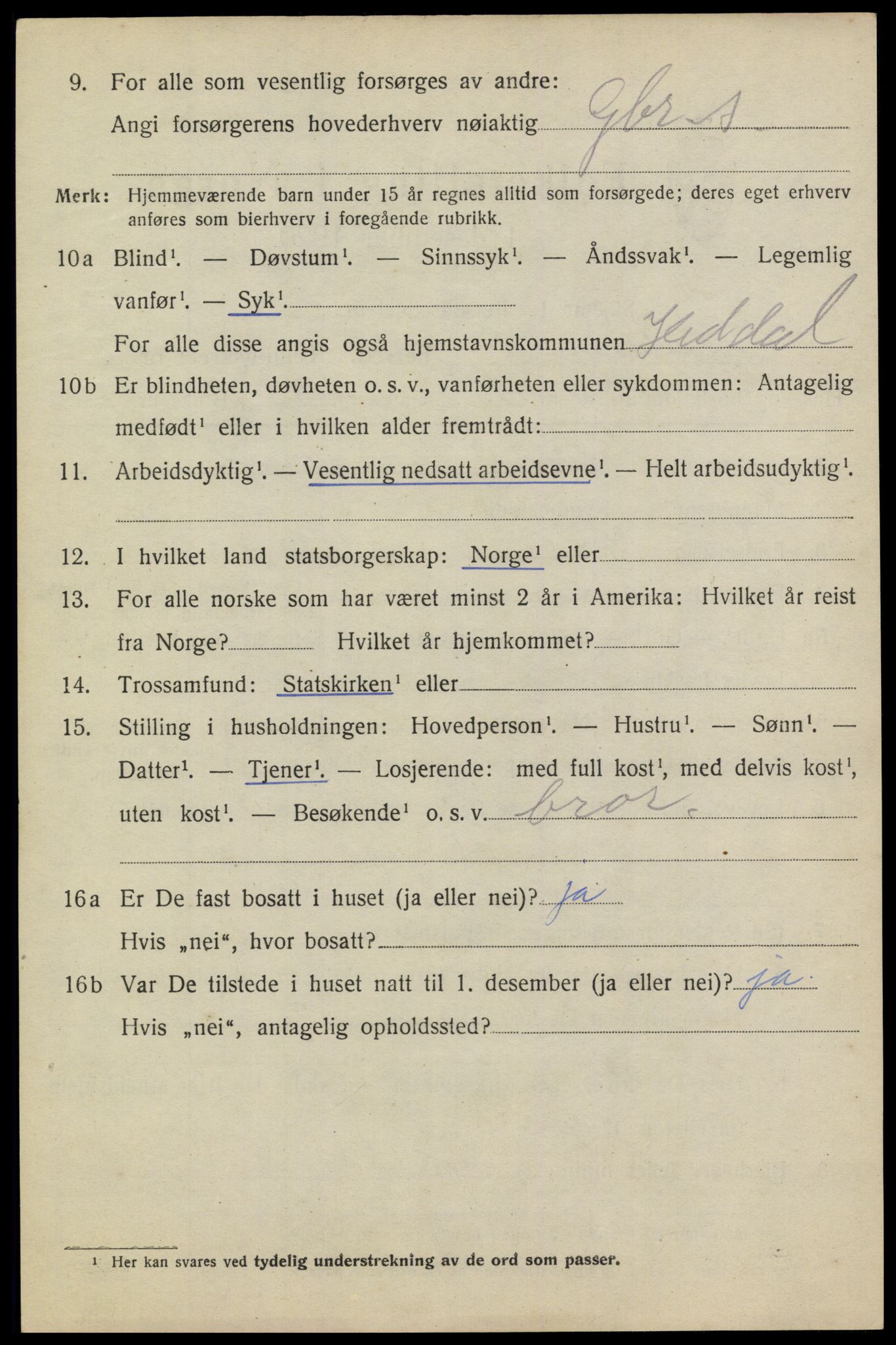 SAKO, 1920 census for Heddal, 1920, p. 4947