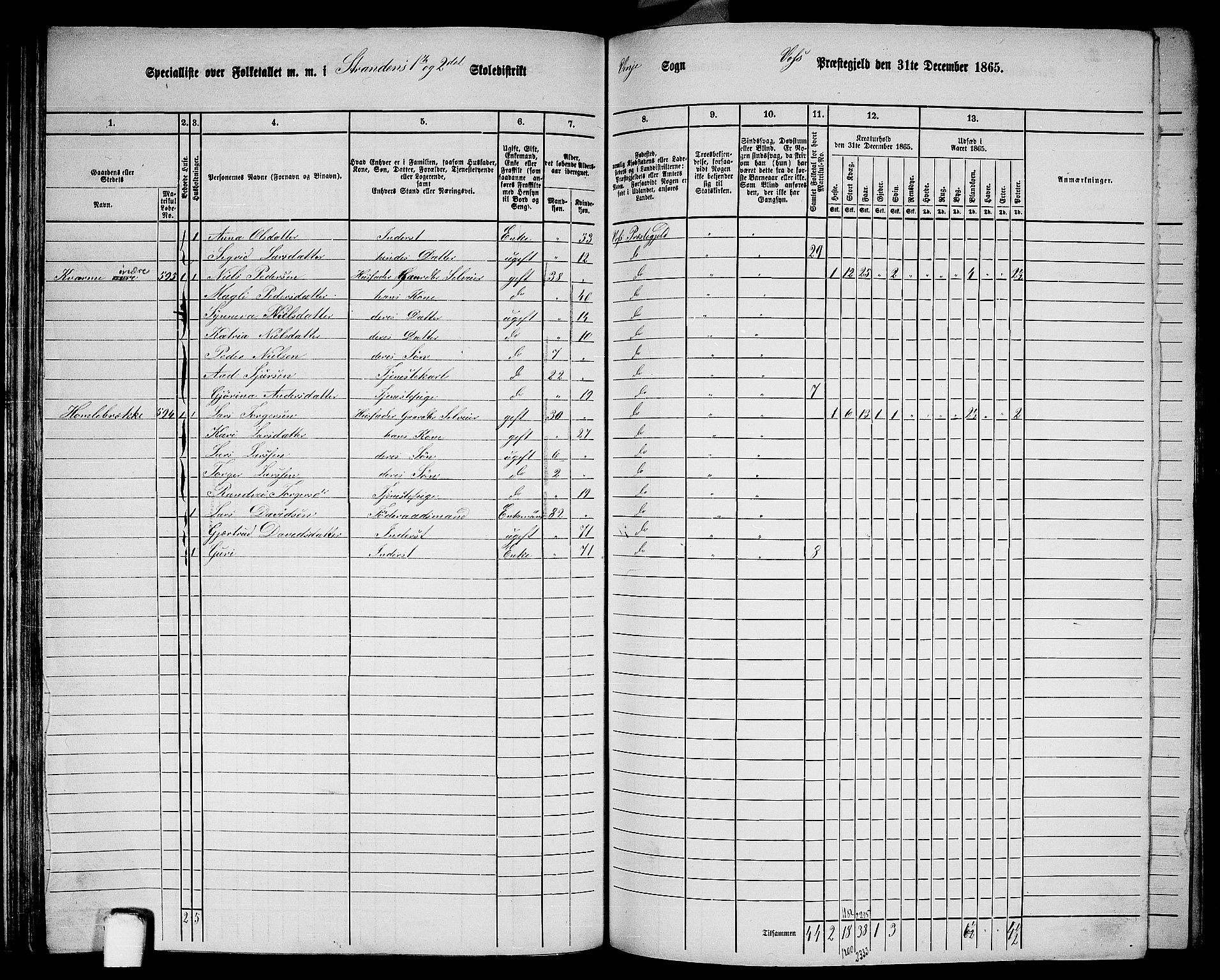 RA, 1865 census for Voss, 1865, p. 319