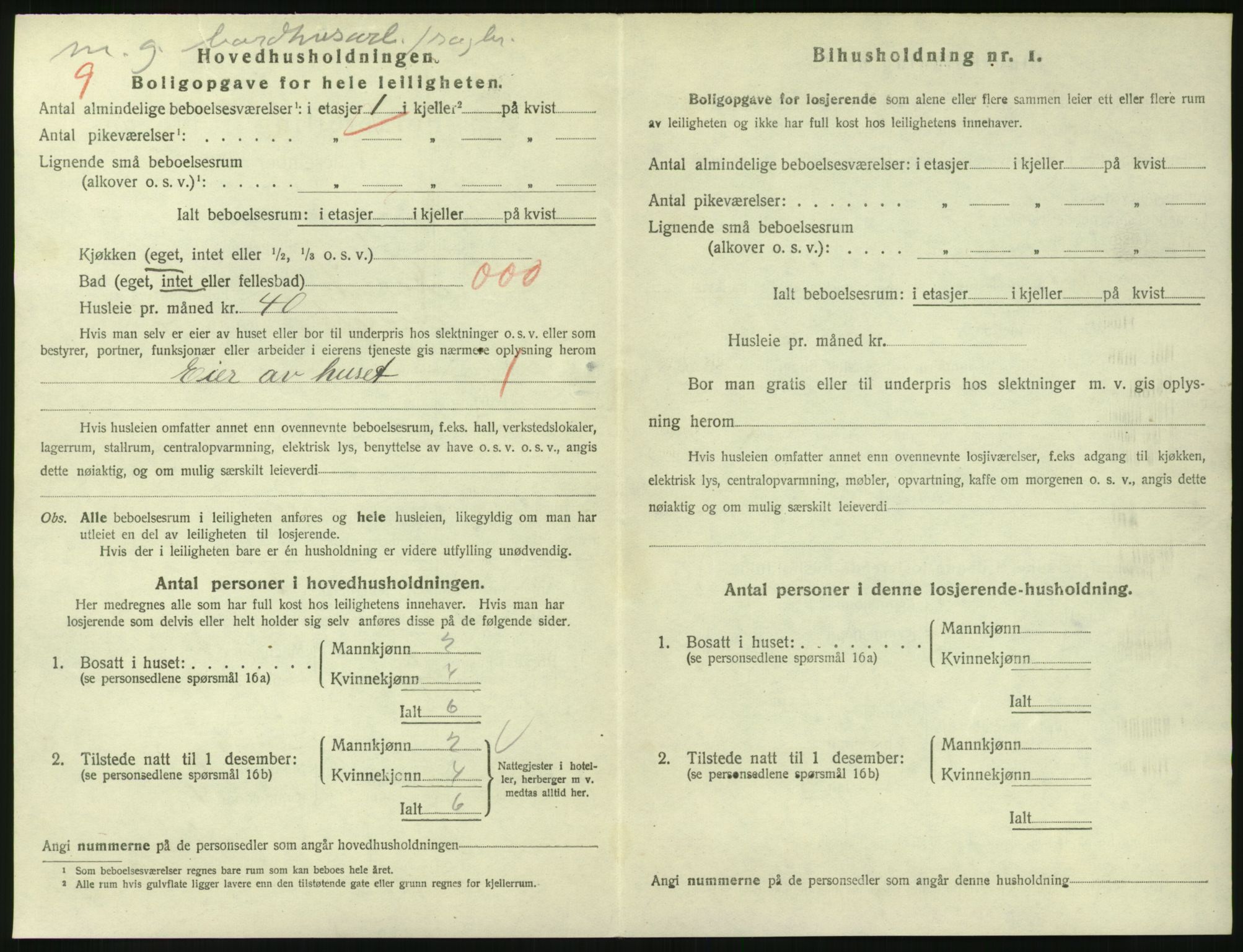 SAKO, 1920 census for Larvik, 1920, p. 3389