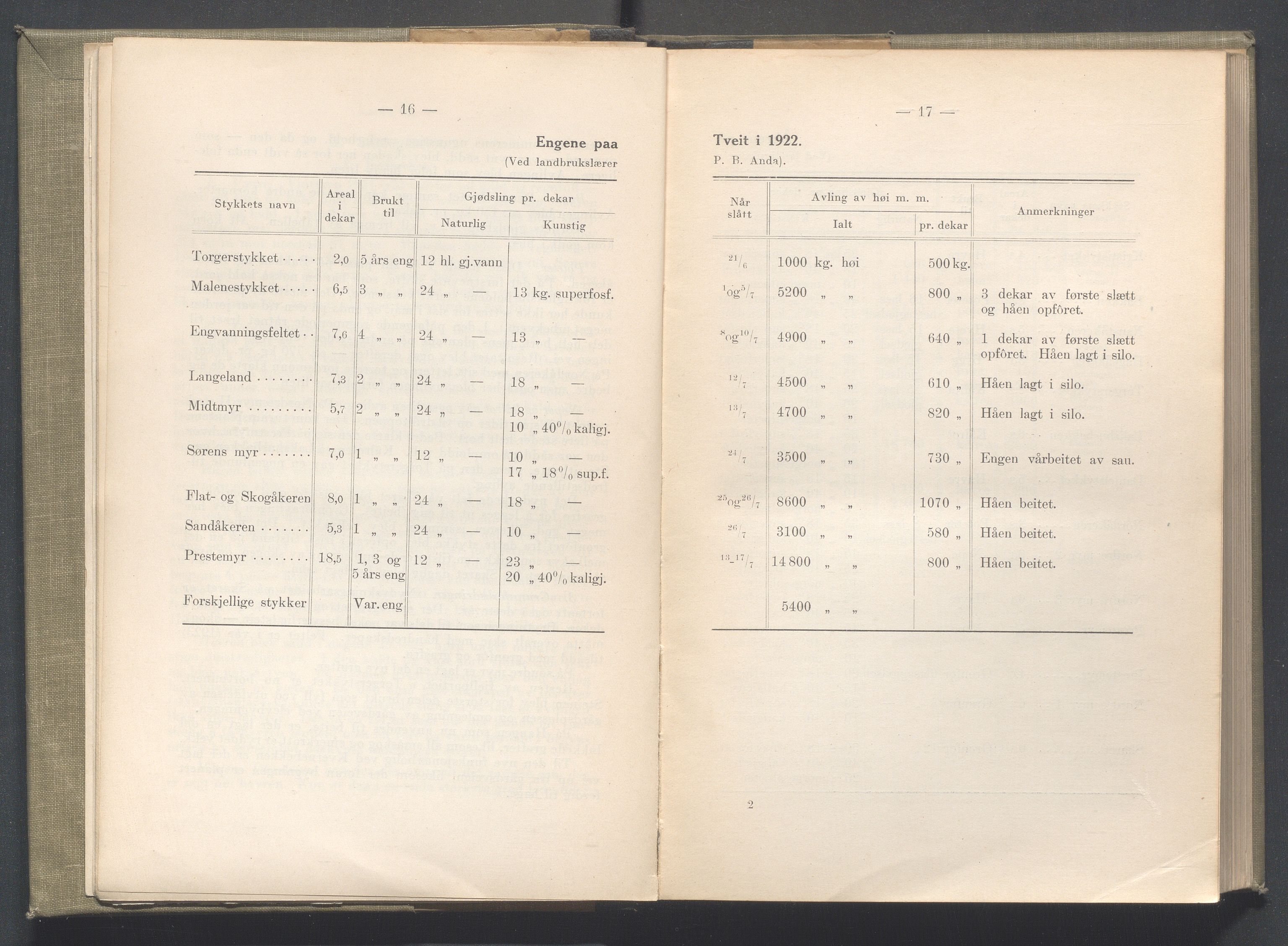 Rogaland fylkeskommune - Fylkesrådmannen , IKAR/A-900/A/Aa/Aaa/L0043: Møtebok , 1924, p. 16-17