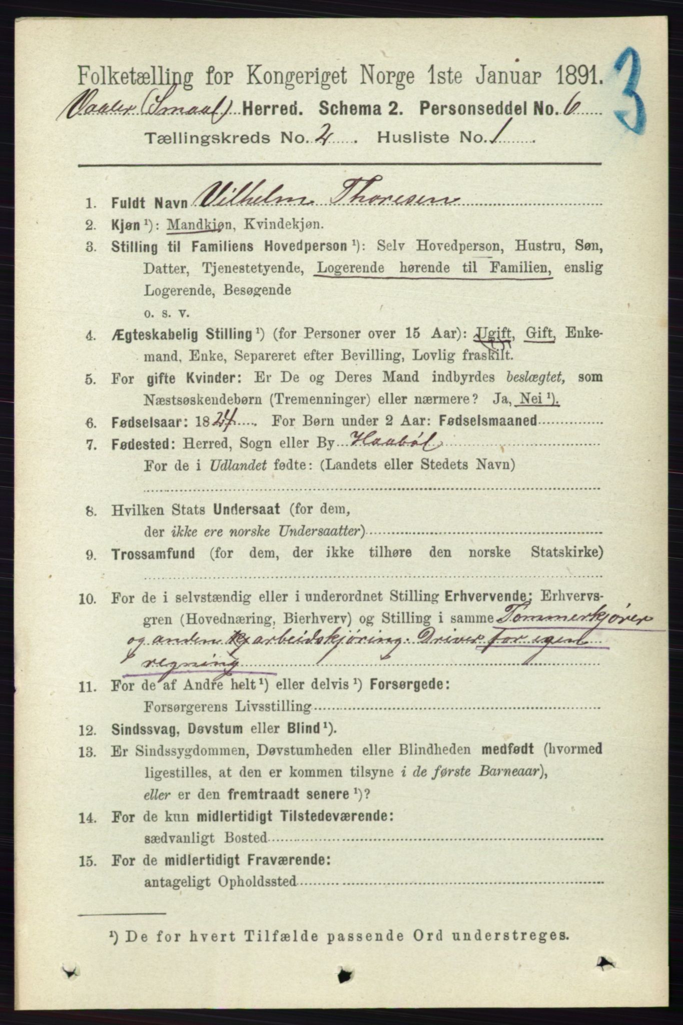 RA, 1891 census for 0137 Våler, 1891, p. 691