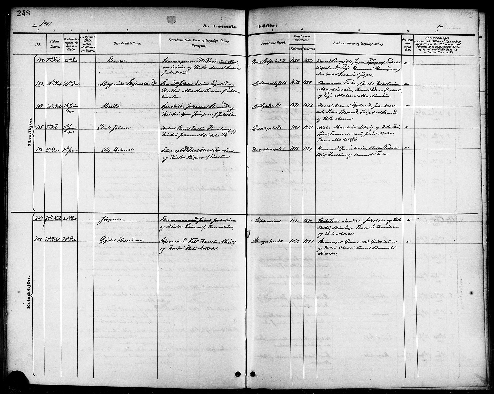 Domkirken sokneprestkontor, SAST/A-101812/001/30/30BB/L0016: Parish register (copy) no. B 16, 1891-1902, p. 248