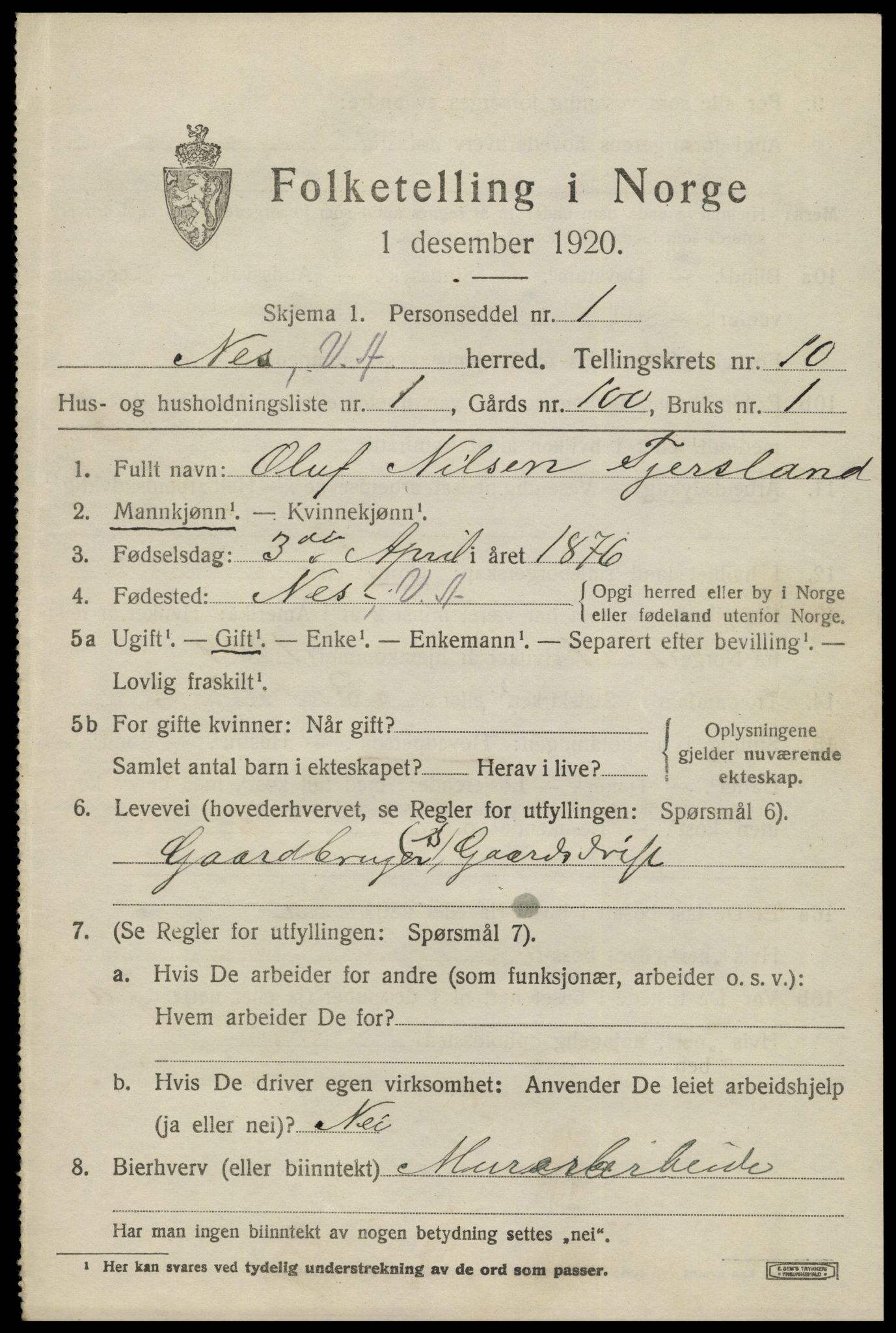 SAK, 1920 census for Nes (V-A), 1920, p. 3866