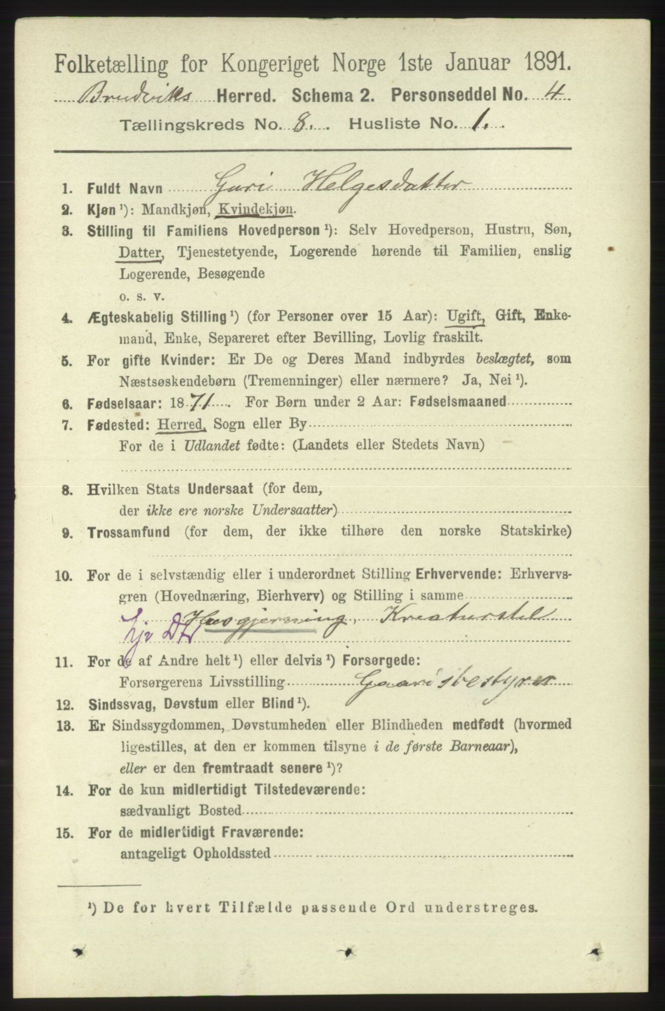 RA, 1891 census for 1251 Bruvik, 1891, p. 2894