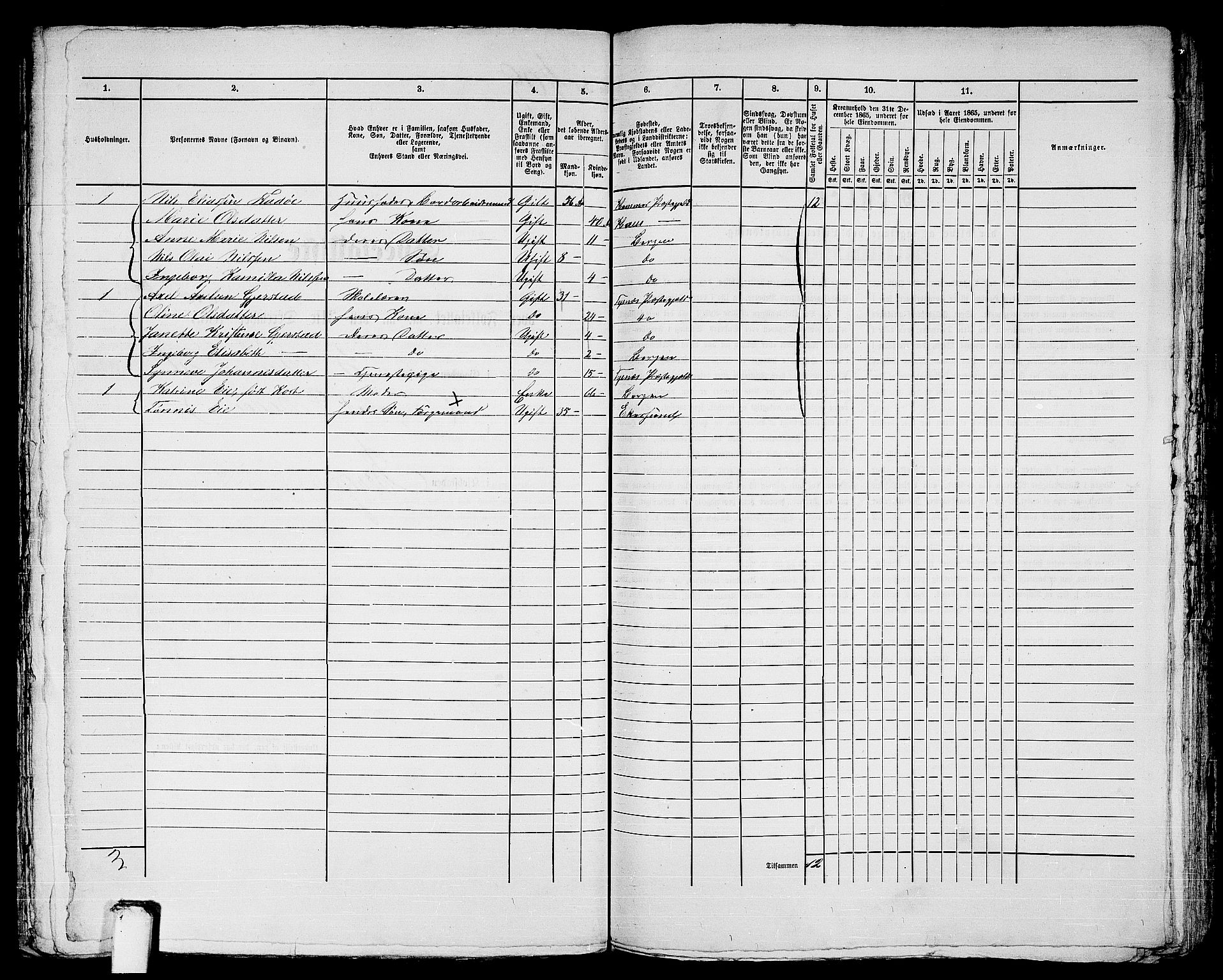 RA, 1865 census for Bergen, 1865, p. 876