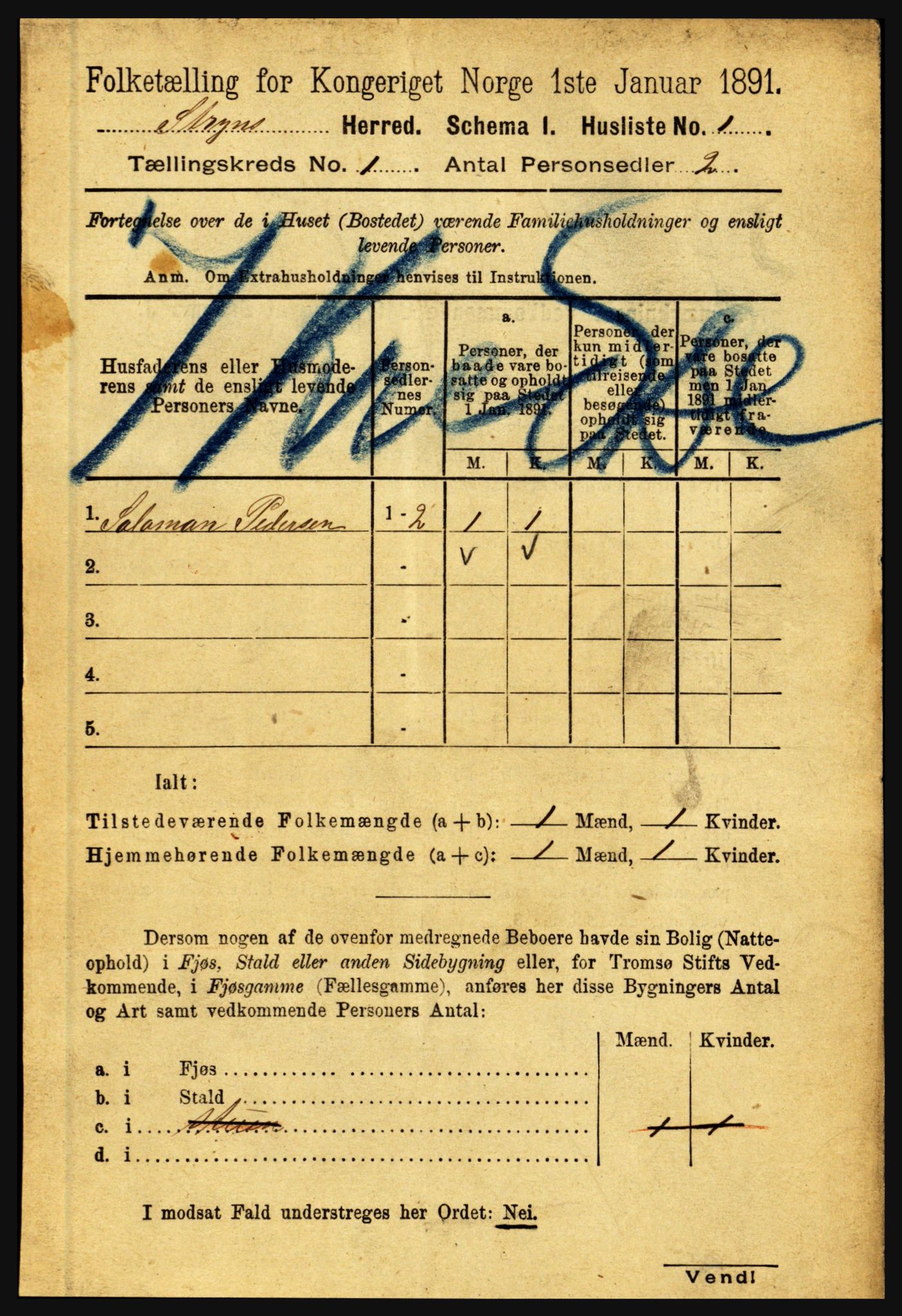 RA, 1891 census for 1448 Stryn, 1891, p. 29