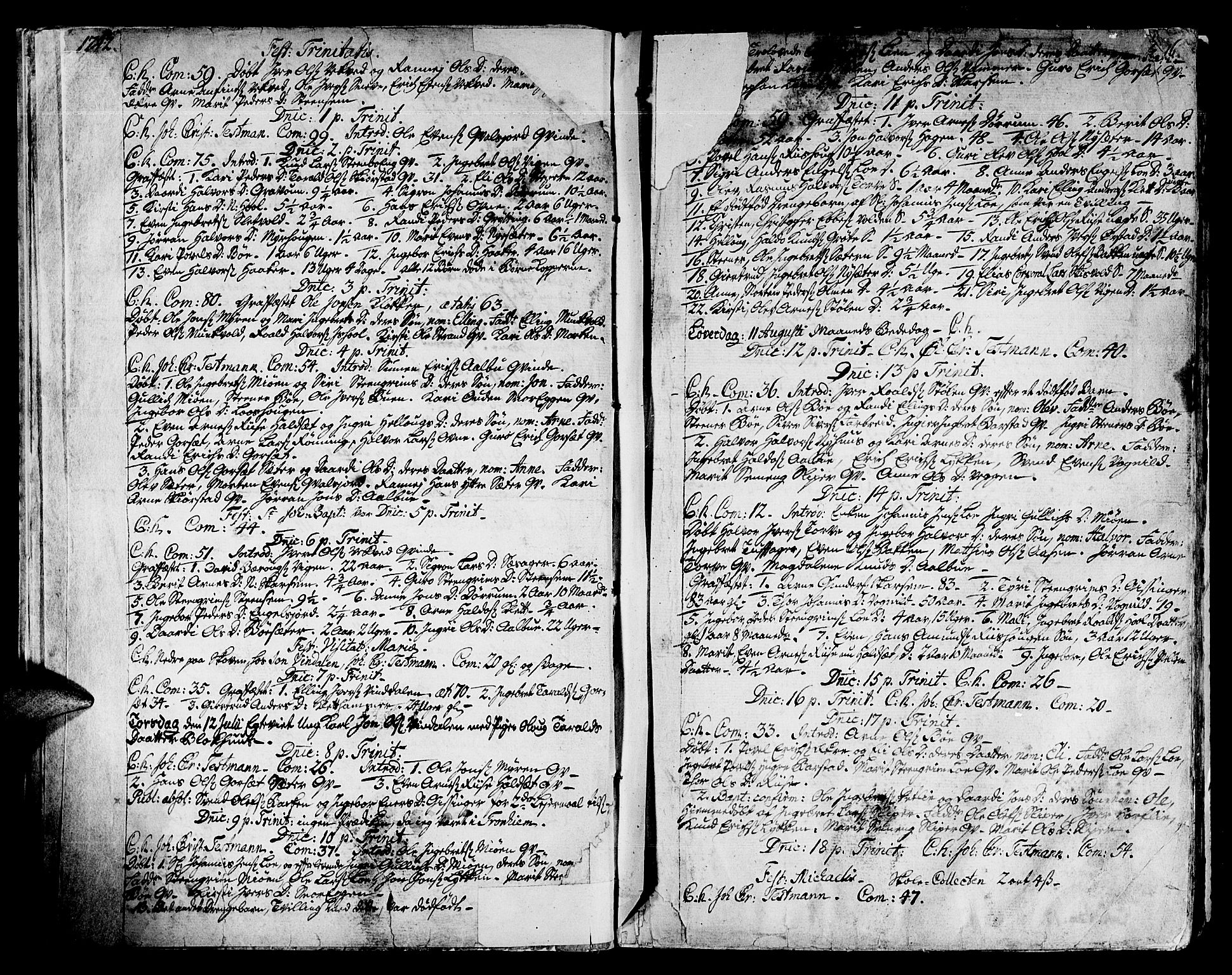 Ministerialprotokoller, klokkerbøker og fødselsregistre - Sør-Trøndelag, SAT/A-1456/678/L0891: Parish register (official) no. 678A01, 1739-1780, p. 16