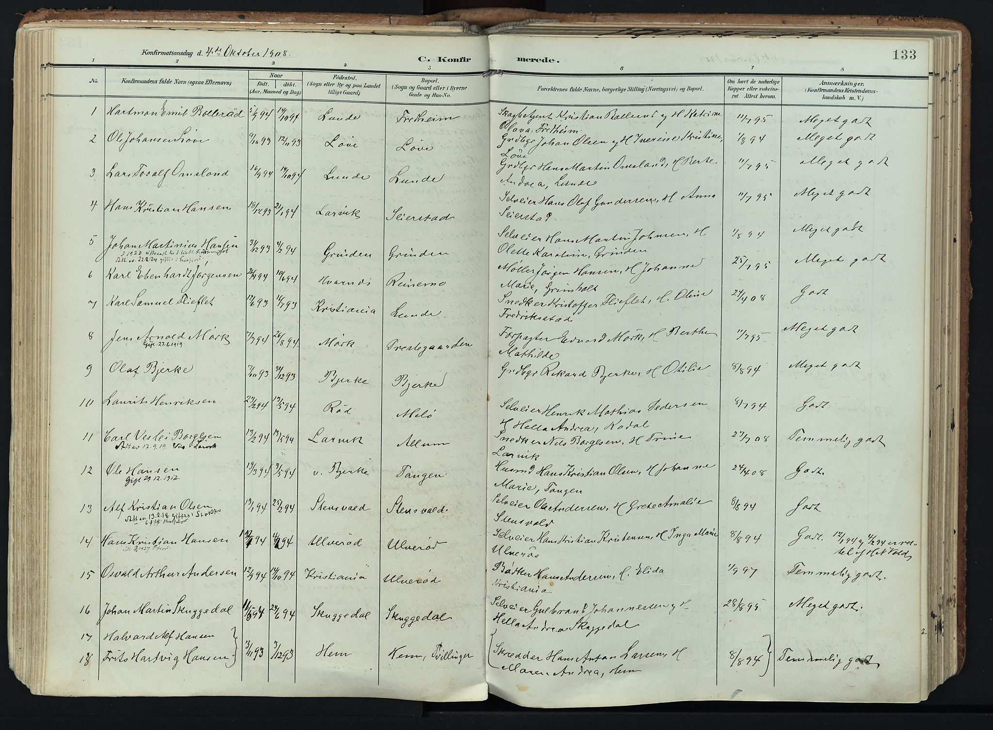 Hedrum kirkebøker, AV/SAKO-A-344/F/Fa/L0010: Parish register (official) no. I 10, 1904-1918, p. 133