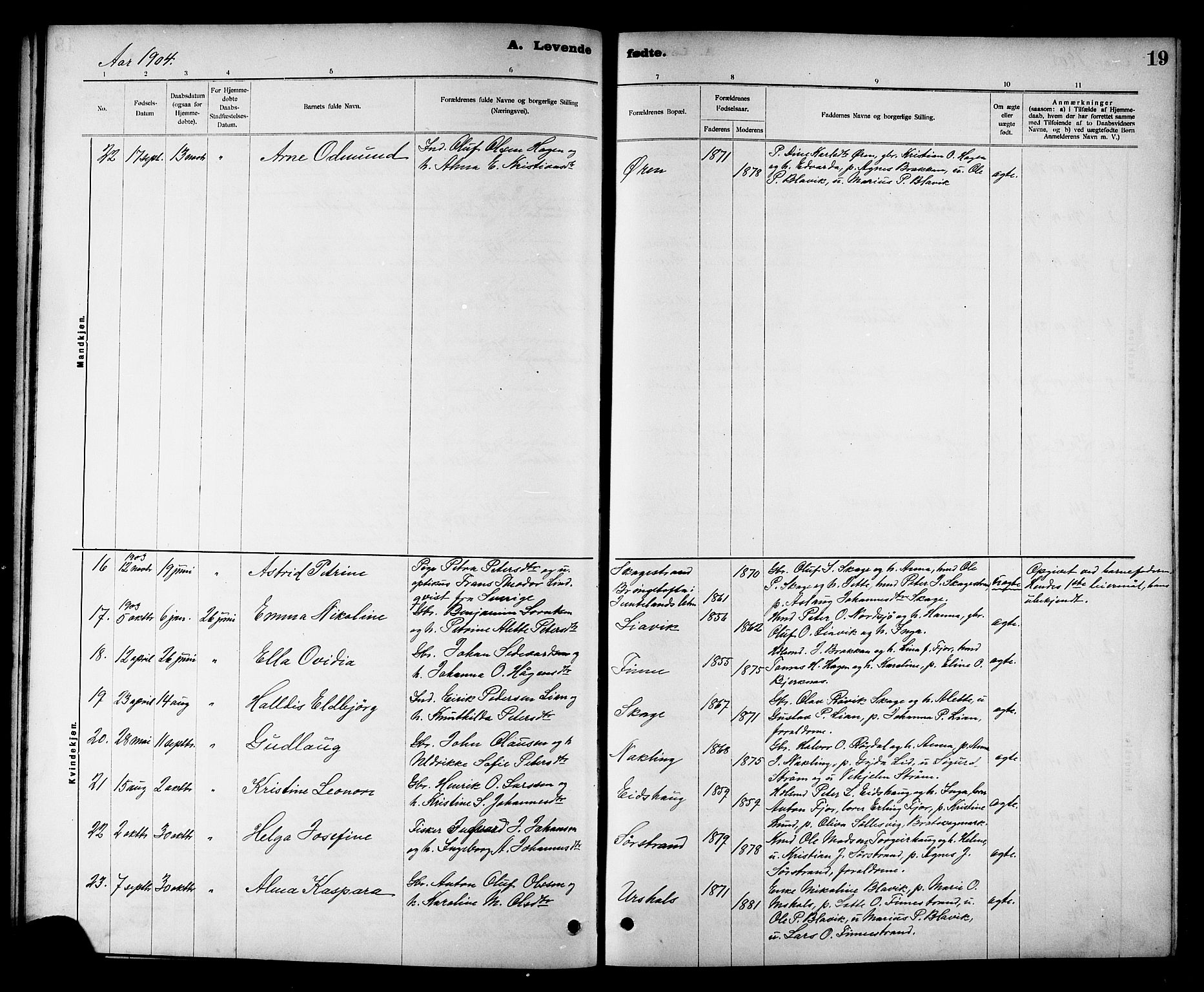Ministerialprotokoller, klokkerbøker og fødselsregistre - Nord-Trøndelag, SAT/A-1458/780/L0652: Parish register (copy) no. 780C04, 1899-1911, p. 19