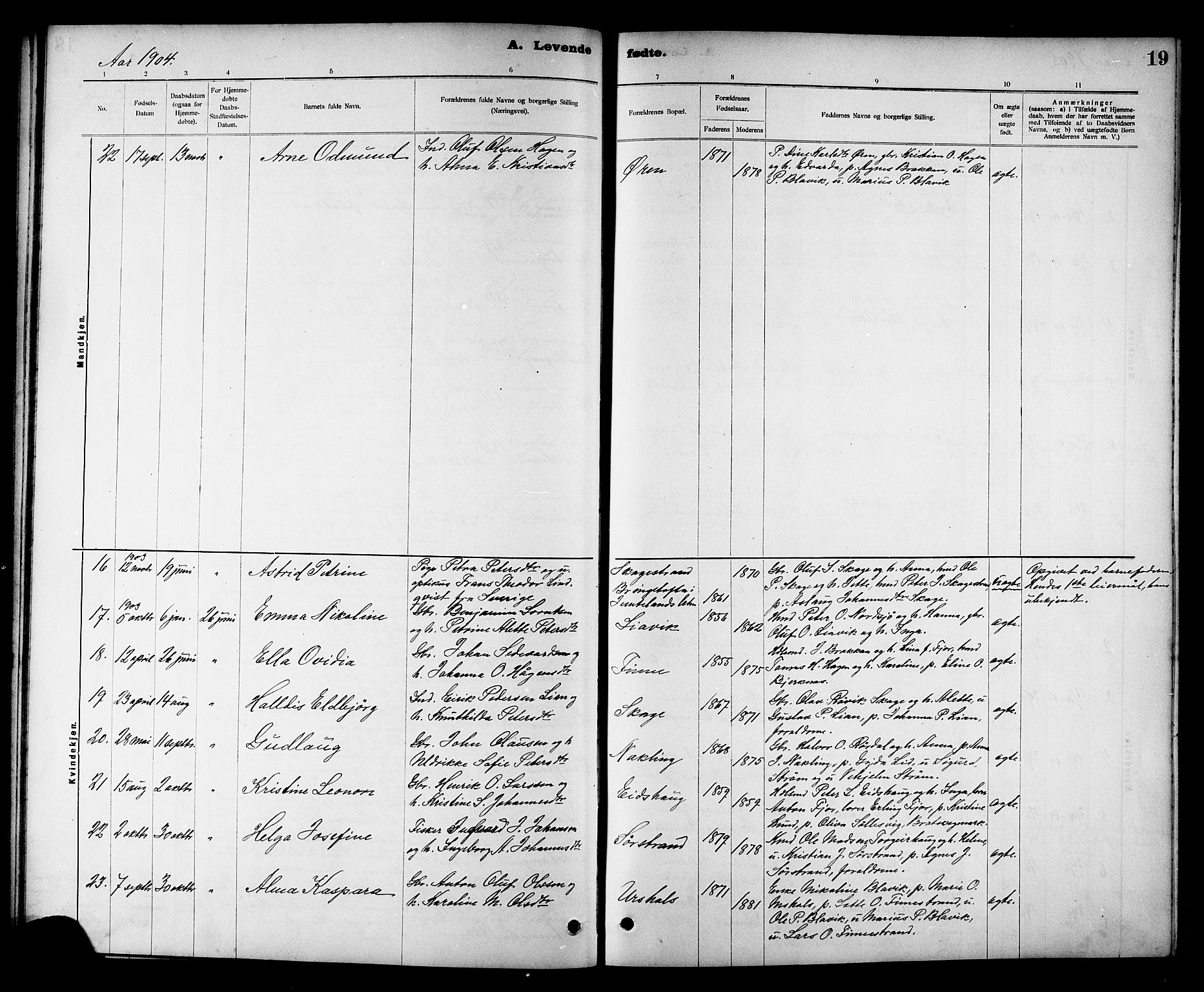 Ministerialprotokoller, klokkerbøker og fødselsregistre - Nord-Trøndelag, AV/SAT-A-1458/780/L0652: Parish register (copy) no. 780C04, 1899-1911, p. 19