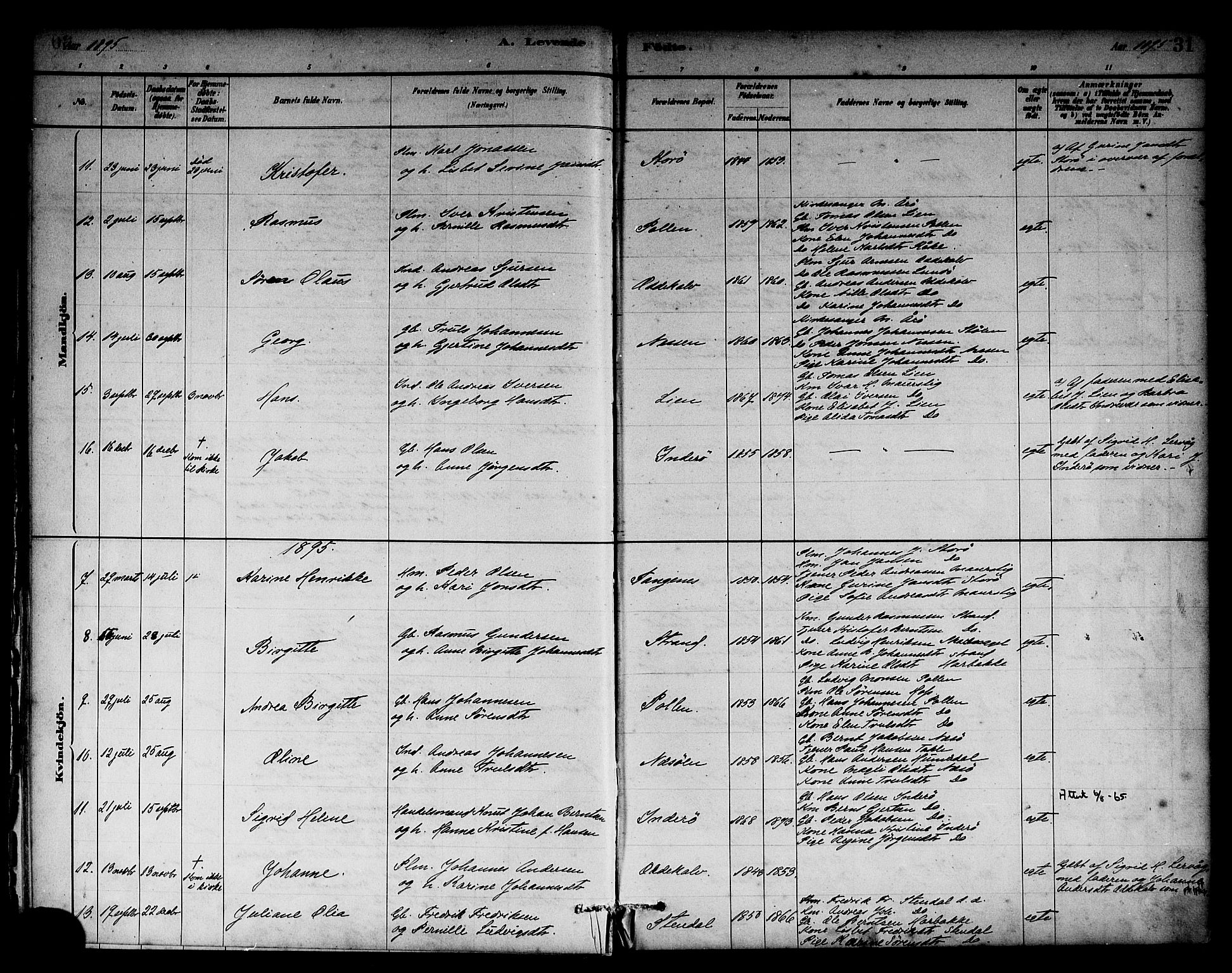 Solund sokneprestembete, AV/SAB-A-81401: Parish register (official) no. A 1, 1881-1902, p. 31