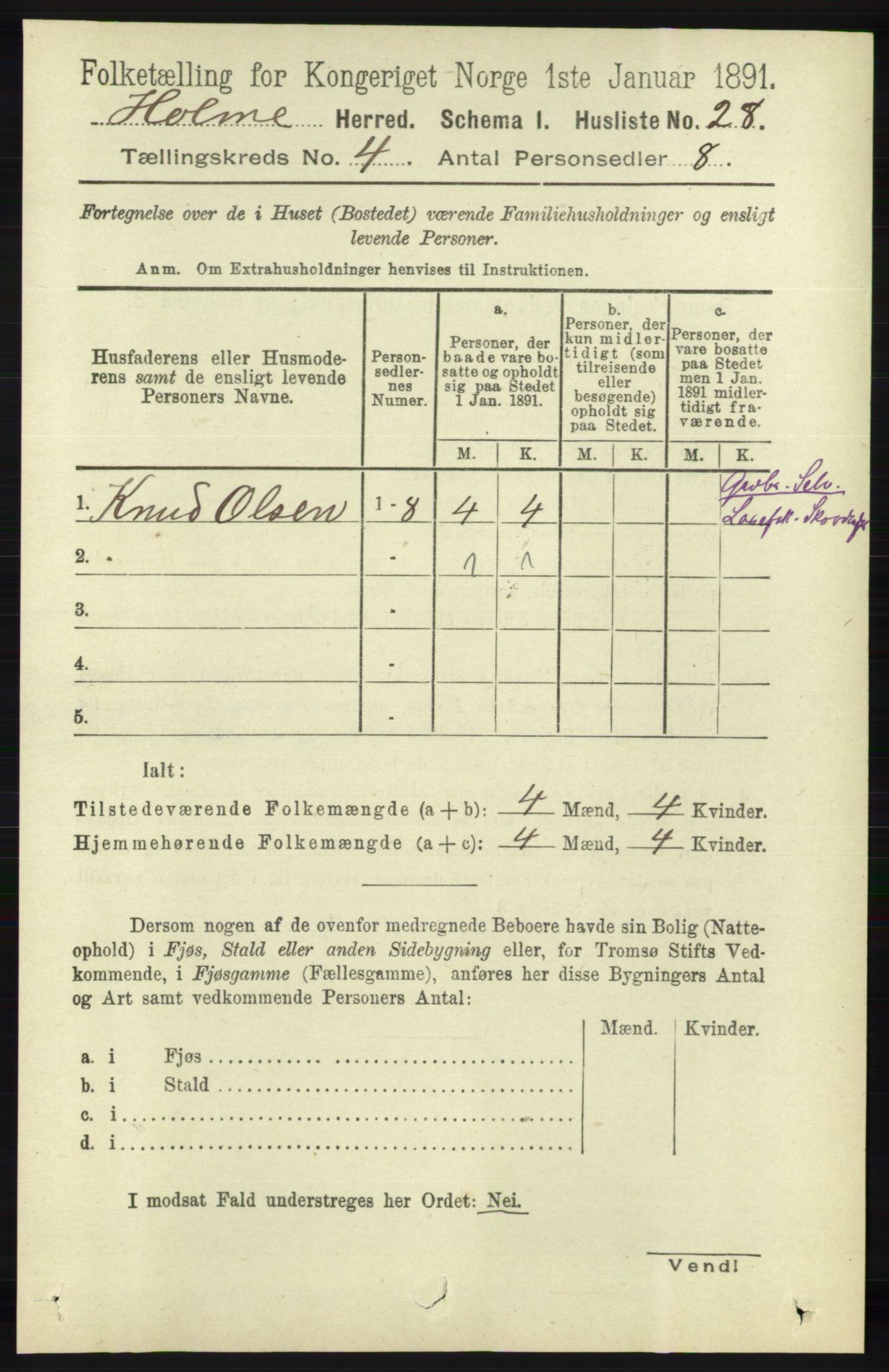 RA, 1891 census for 1020 Holum, 1891, p. 1028