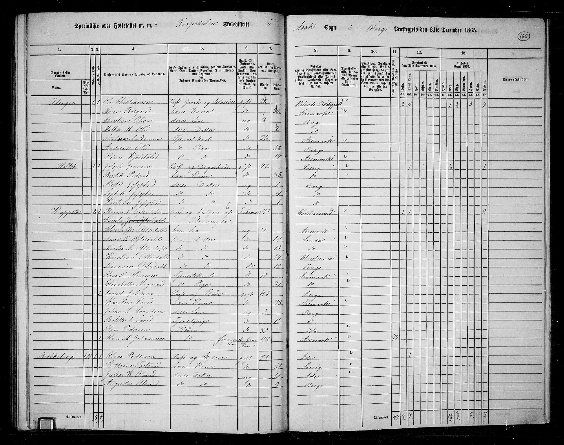 RA, 1865 census for Berg, 1865, p. 146