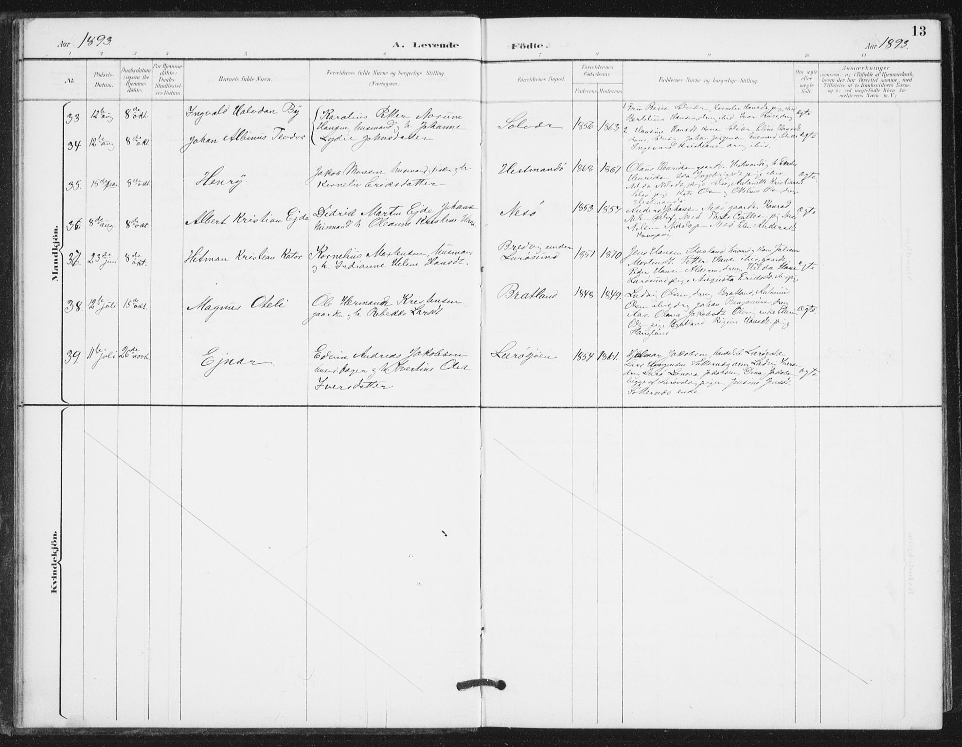 Ministerialprotokoller, klokkerbøker og fødselsregistre - Nordland, AV/SAT-A-1459/839/L0573: Parish register (copy) no. 839C03, 1892-1917, p. 13