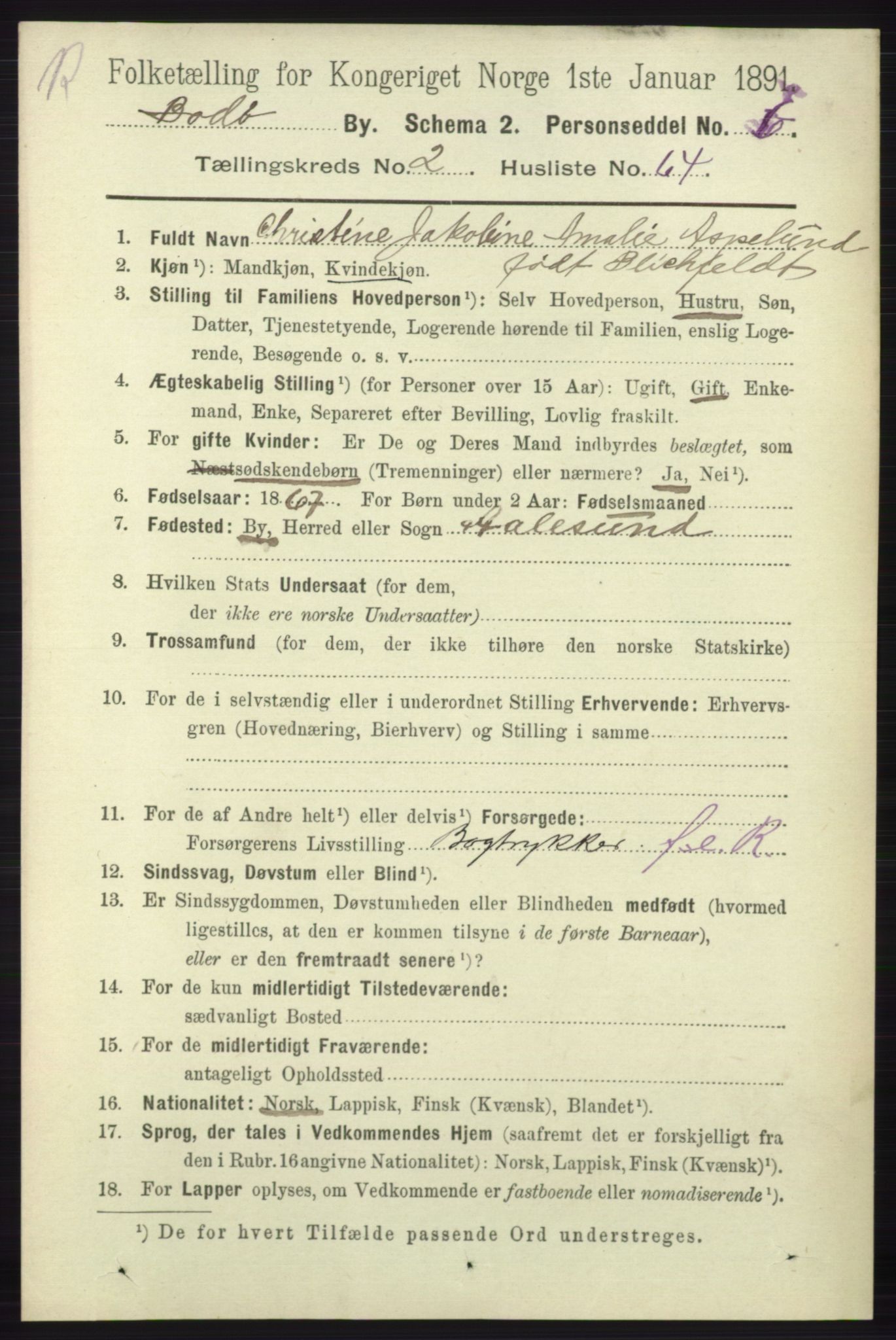 RA, 1891 census for 1804 Bodø, 1891, p. 1823