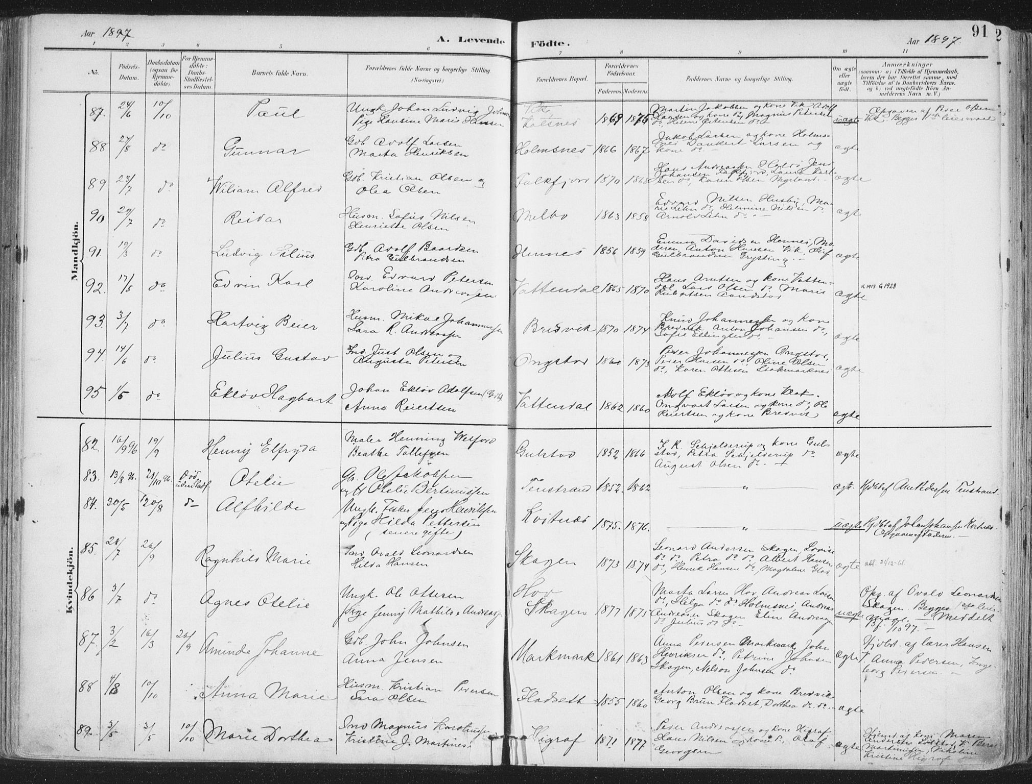 Ministerialprotokoller, klokkerbøker og fødselsregistre - Nordland, AV/SAT-A-1459/888/L1246: Parish register (official) no. 888A12, 1891-1903, p. 91