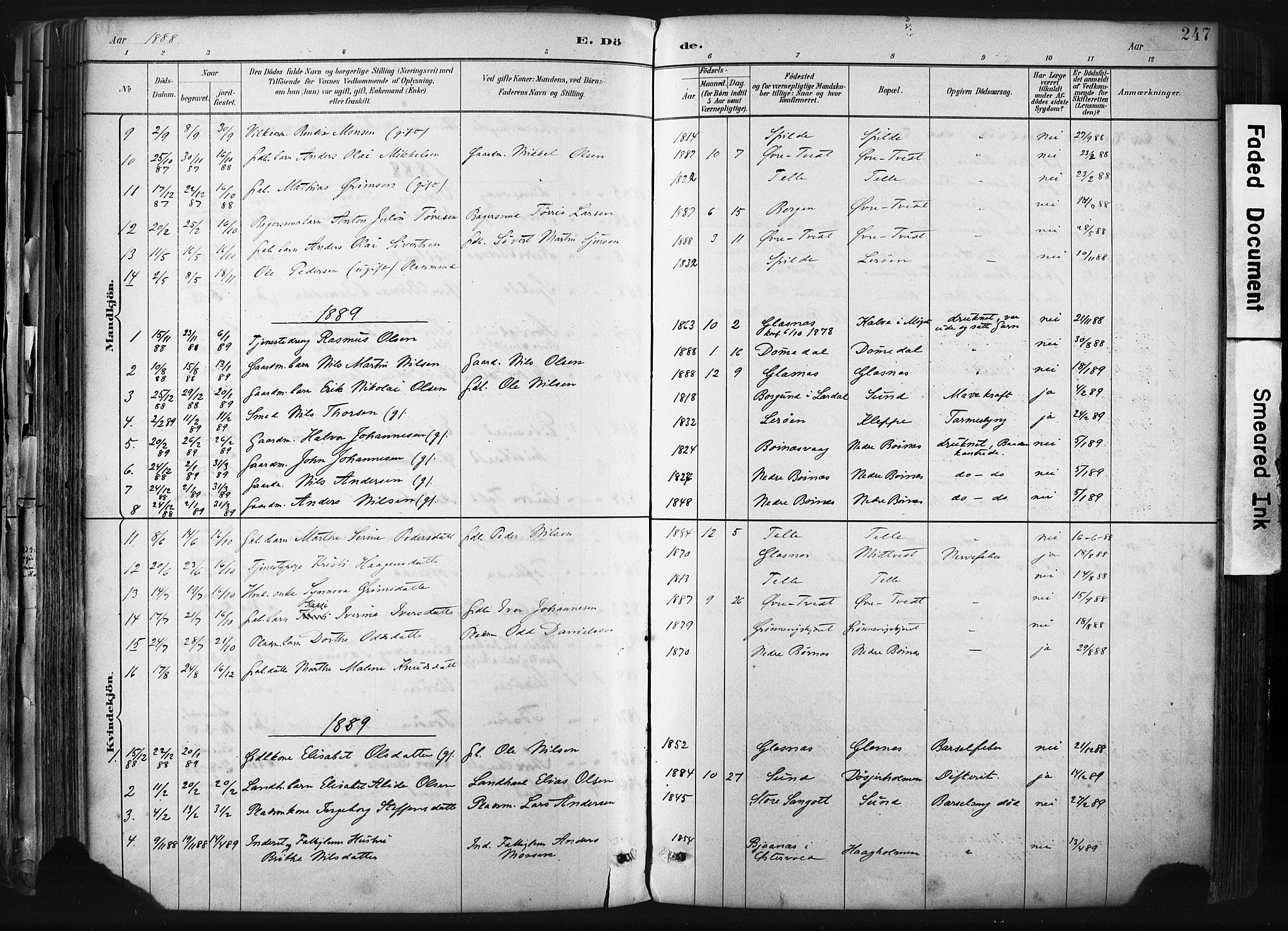 Sund sokneprestembete, AV/SAB-A-99930: Parish register (official) no. B 1, 1882-1907, p. 247