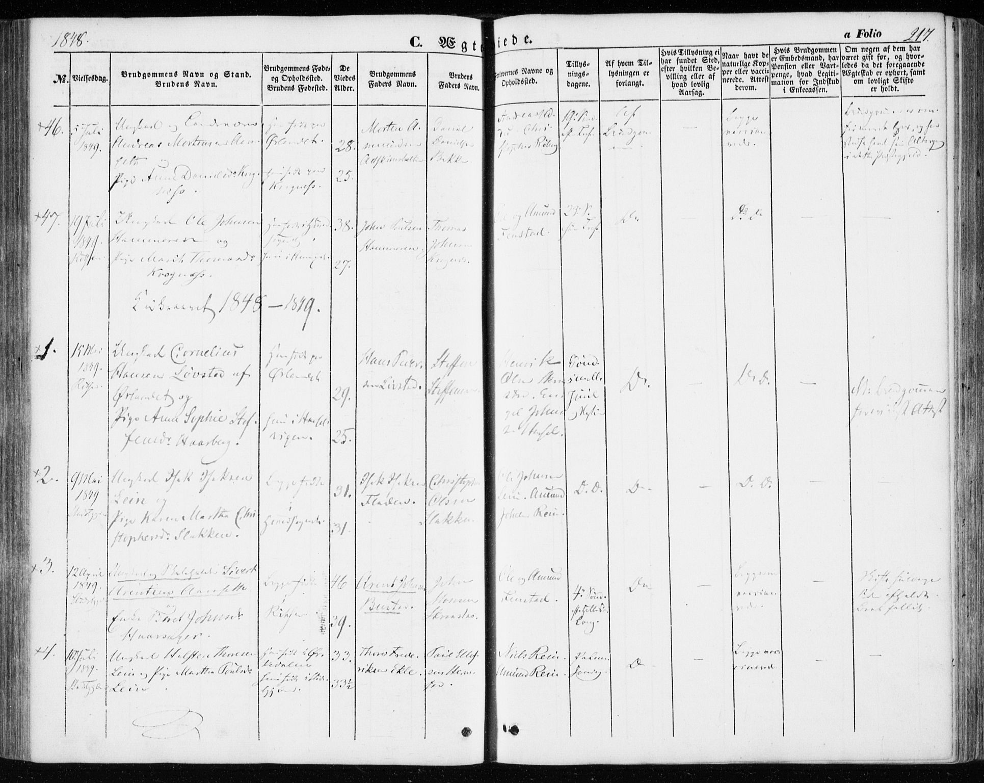 Ministerialprotokoller, klokkerbøker og fødselsregistre - Sør-Trøndelag, AV/SAT-A-1456/646/L0611: Parish register (official) no. 646A09, 1848-1857, p. 217