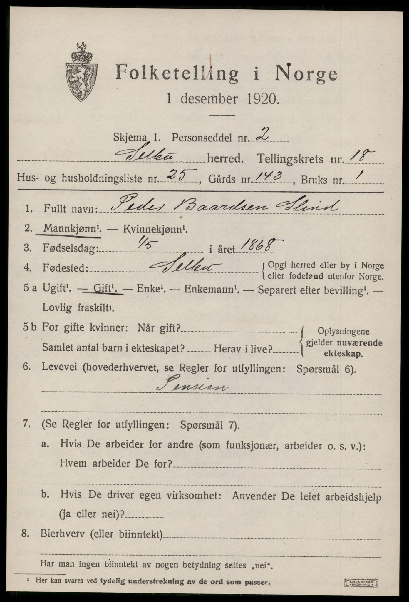 SAT, 1920 census for Selbu, 1920, p. 9668