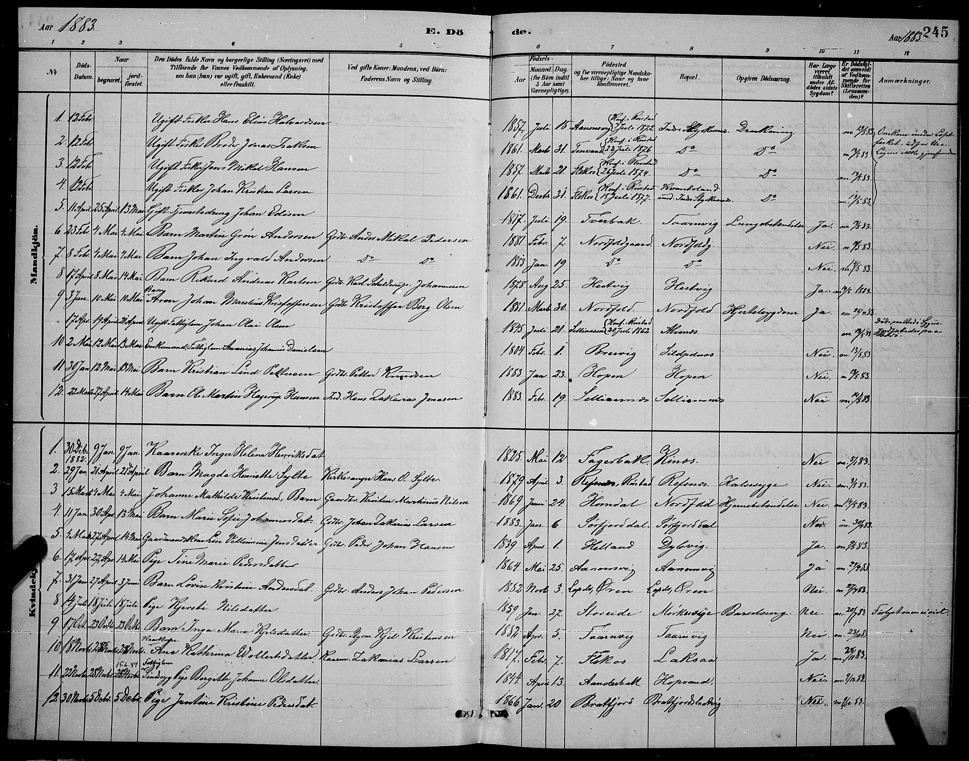 Ministerialprotokoller, klokkerbøker og fødselsregistre - Nordland, AV/SAT-A-1459/853/L0772: Parish register (official) no. 853A11, 1881-1900, p. 245