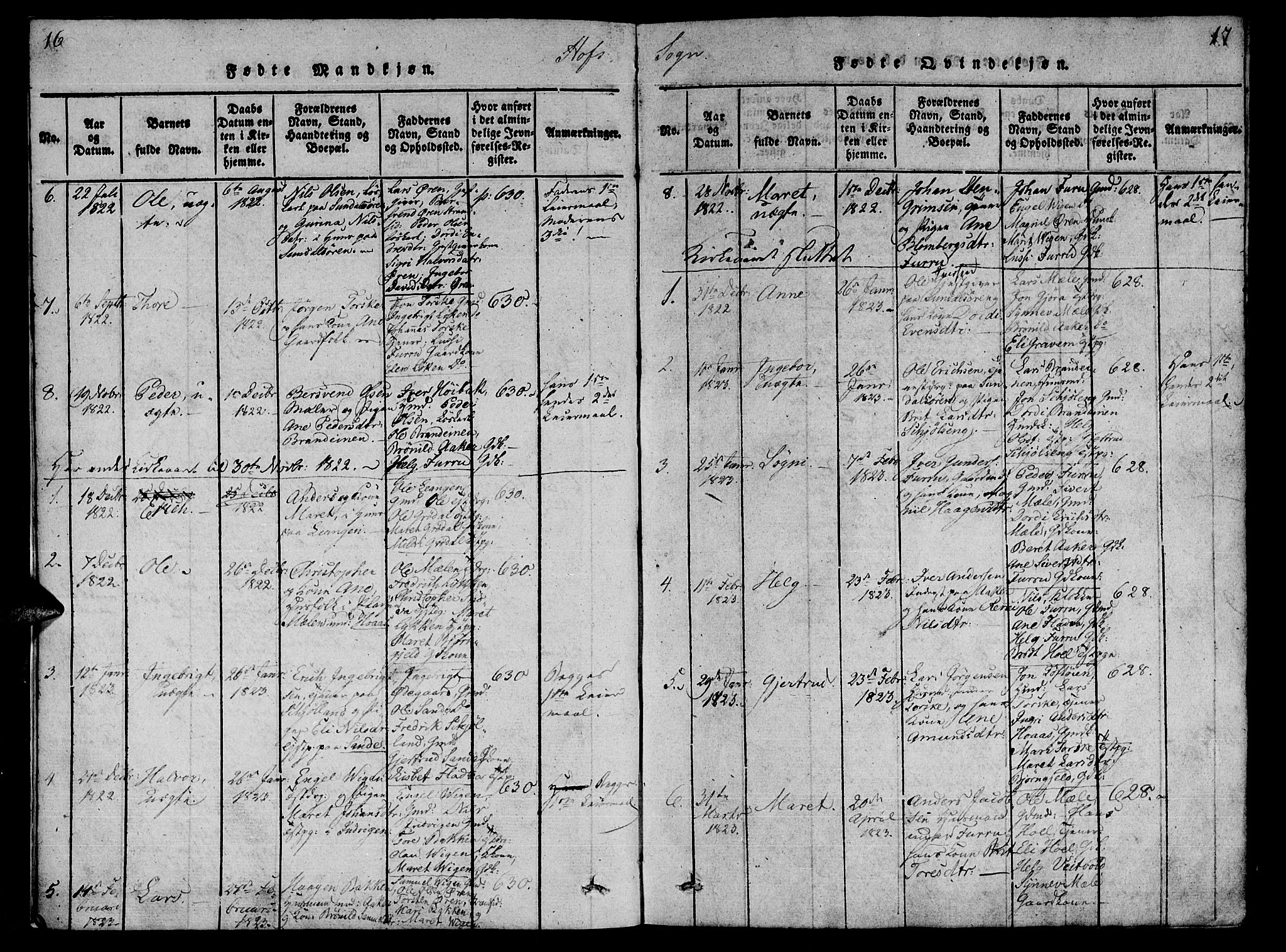 Ministerialprotokoller, klokkerbøker og fødselsregistre - Møre og Romsdal, SAT/A-1454/590/L1009: Parish register (official) no. 590A03 /1, 1819-1832, p. 16-17