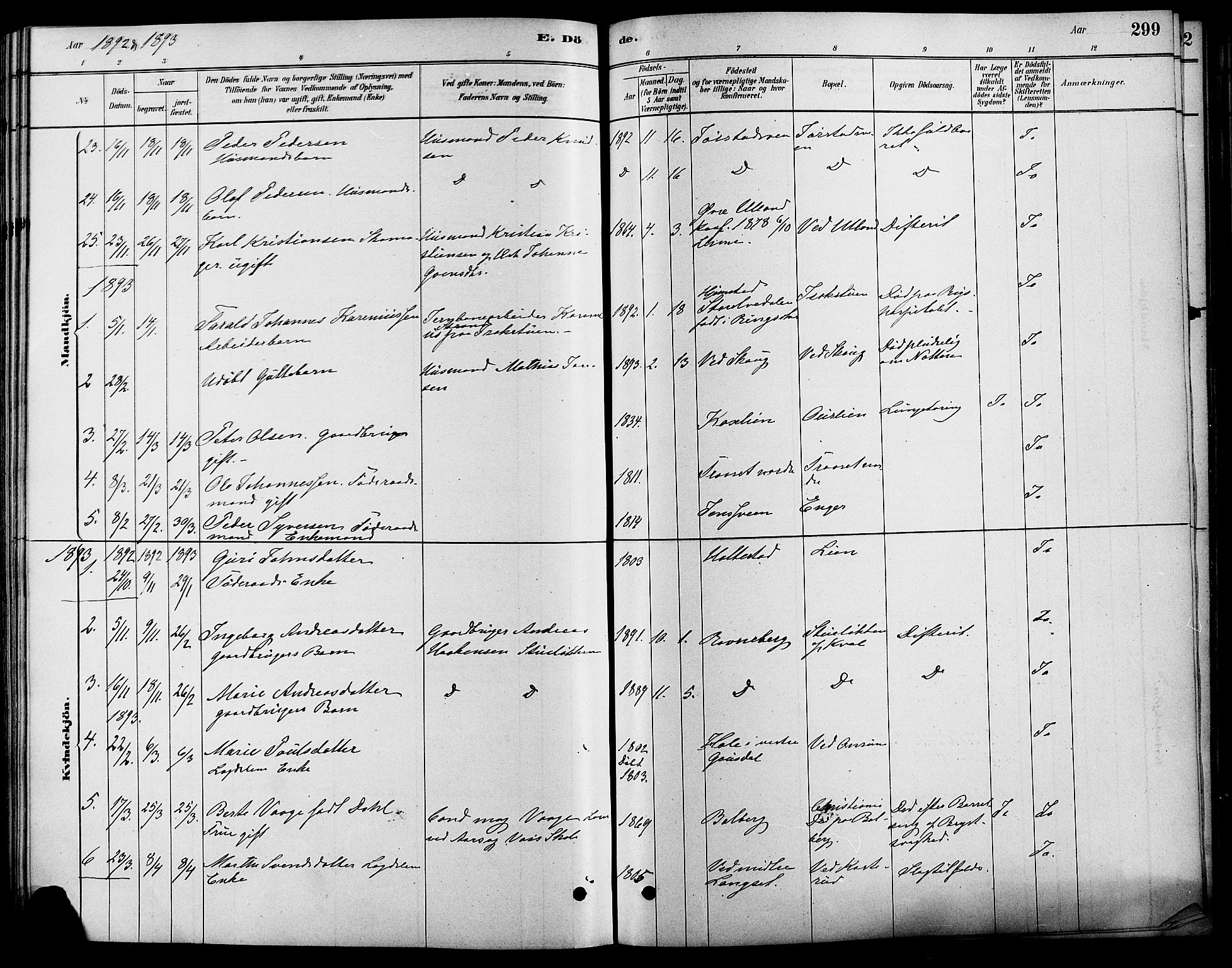 Fåberg prestekontor, SAH/PREST-086/H/Ha/Haa/L0008: Parish register (official) no. 8, 1879-1898, p. 299
