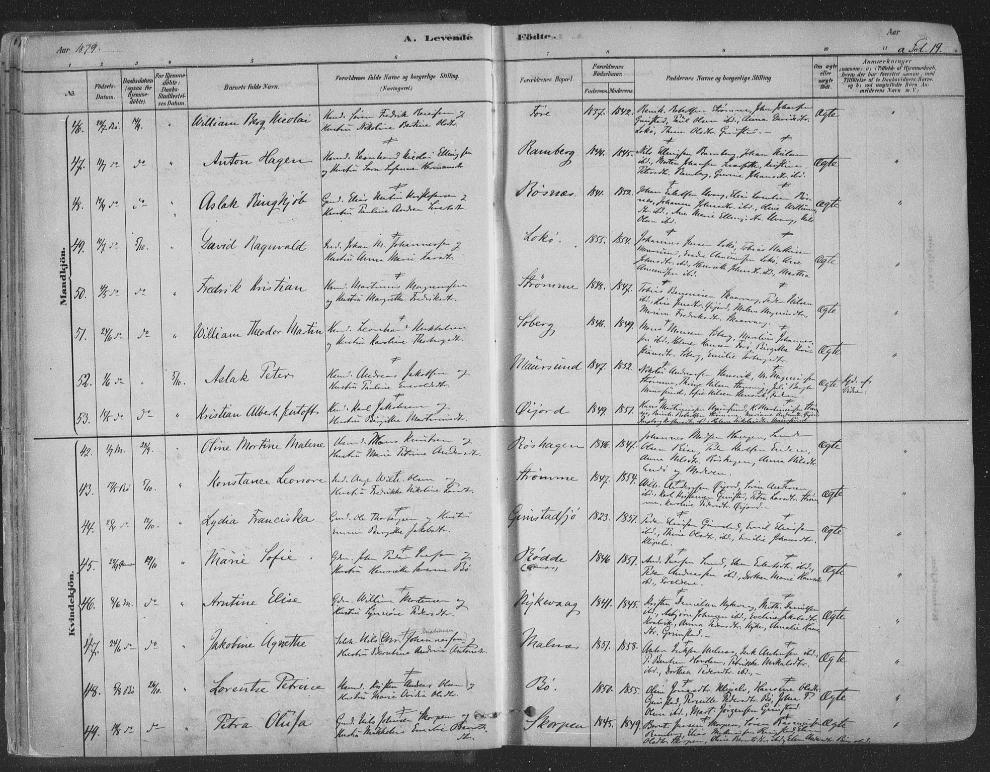 Ministerialprotokoller, klokkerbøker og fødselsregistre - Nordland, AV/SAT-A-1459/891/L1302: Parish register (official) no. 891A07, 1878-1895, p. 19