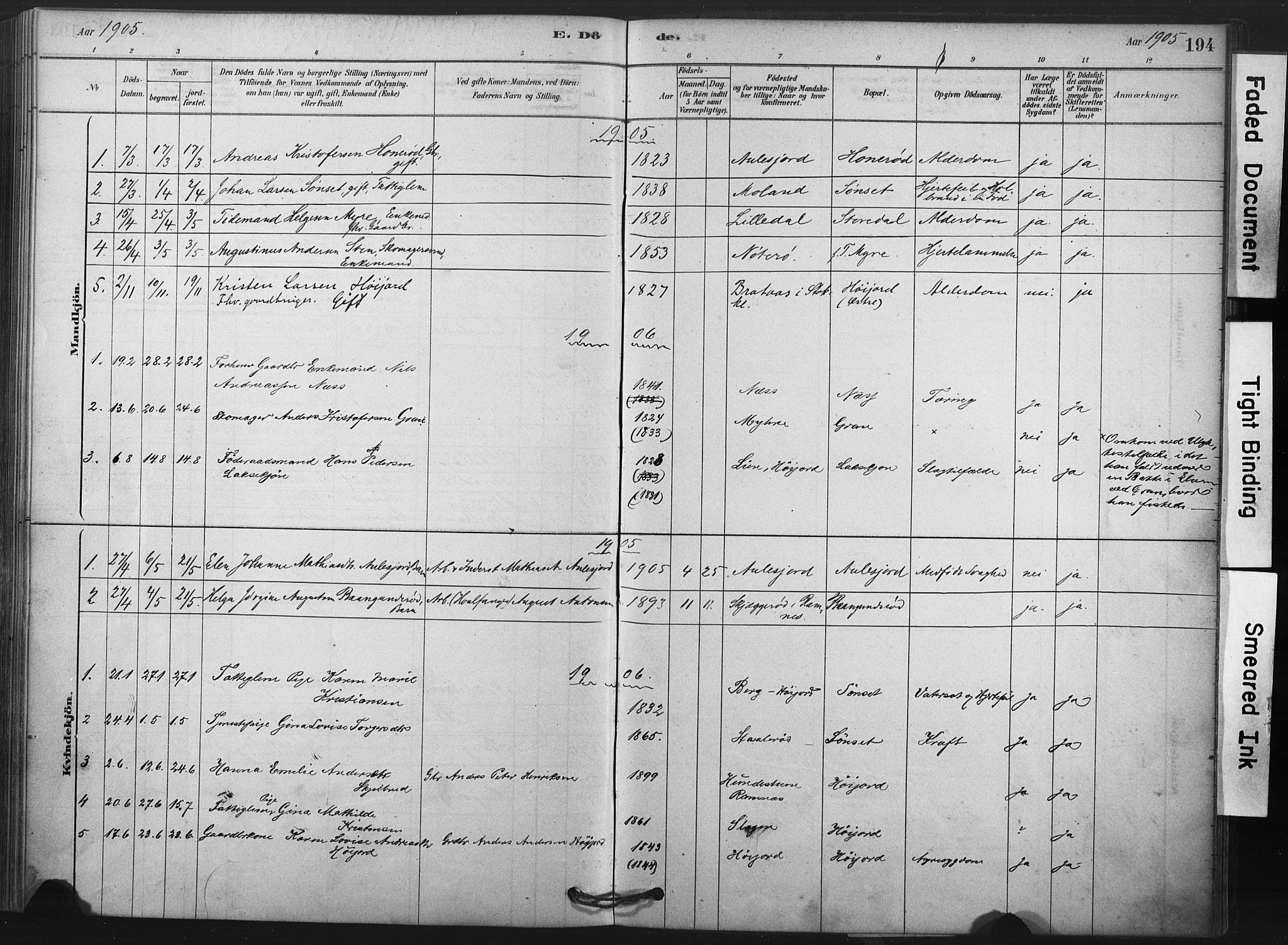 Andebu kirkebøker, AV/SAKO-A-336/F/Fa/L0009: Parish register (official) no. 9, 1878-1909, p. 194