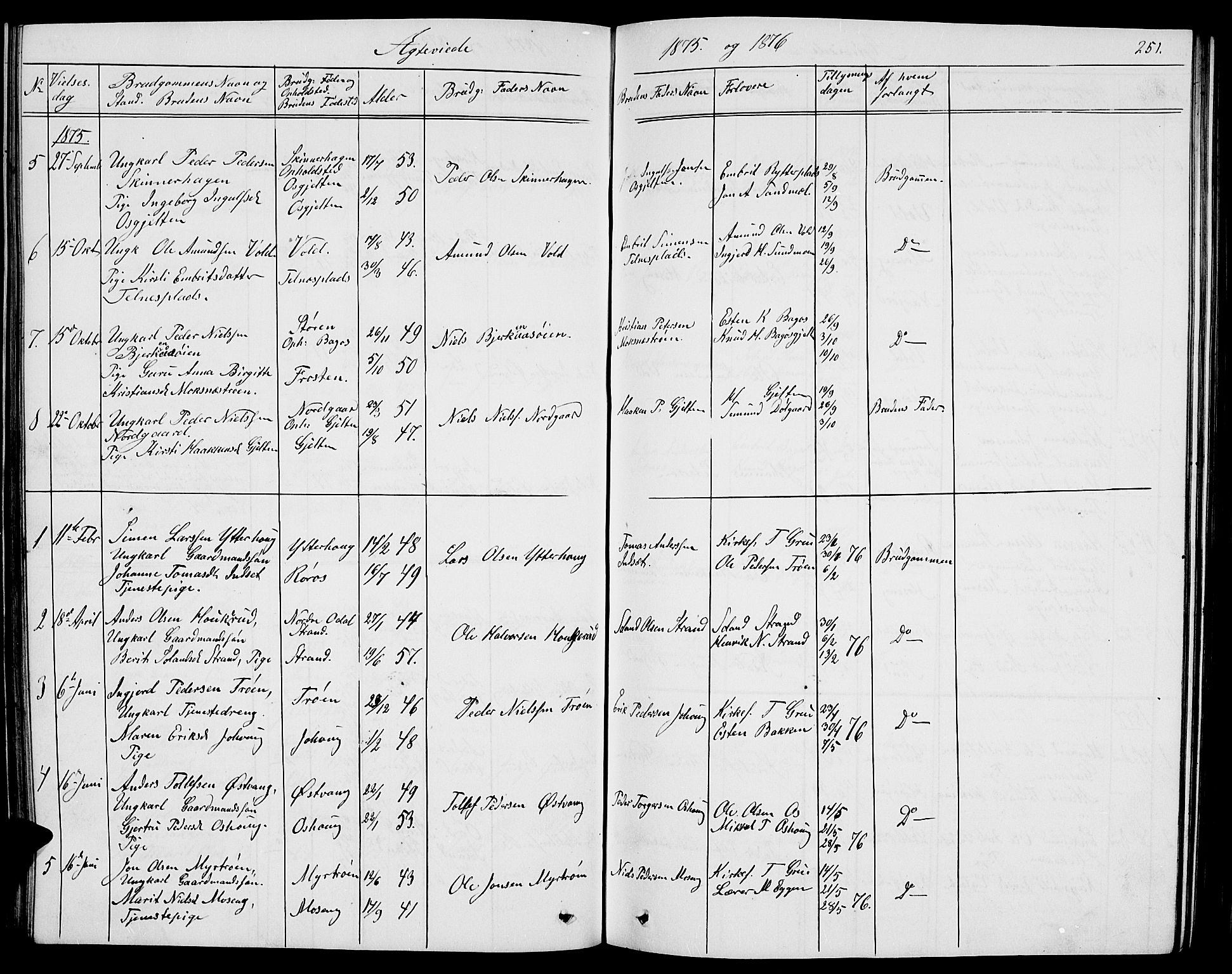 Tolga prestekontor, AV/SAH-PREST-062/L/L0004: Parish register (copy) no. 4, 1845-1887, p. 251