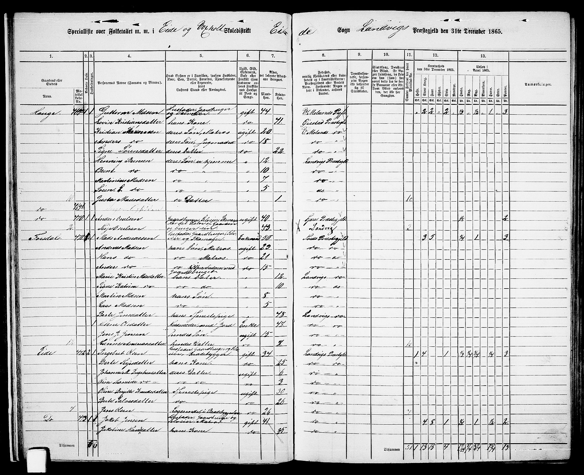 RA, 1865 census for Homedal, 1865, p. 25
