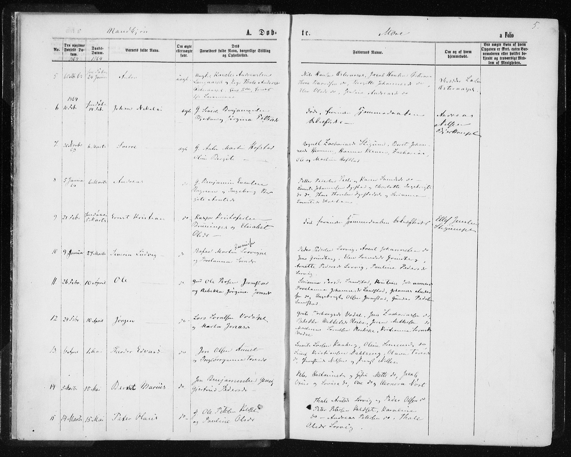 Ministerialprotokoller, klokkerbøker og fødselsregistre - Nord-Trøndelag, AV/SAT-A-1458/735/L0345: Parish register (official) no. 735A08 /1, 1863-1872, p. 5