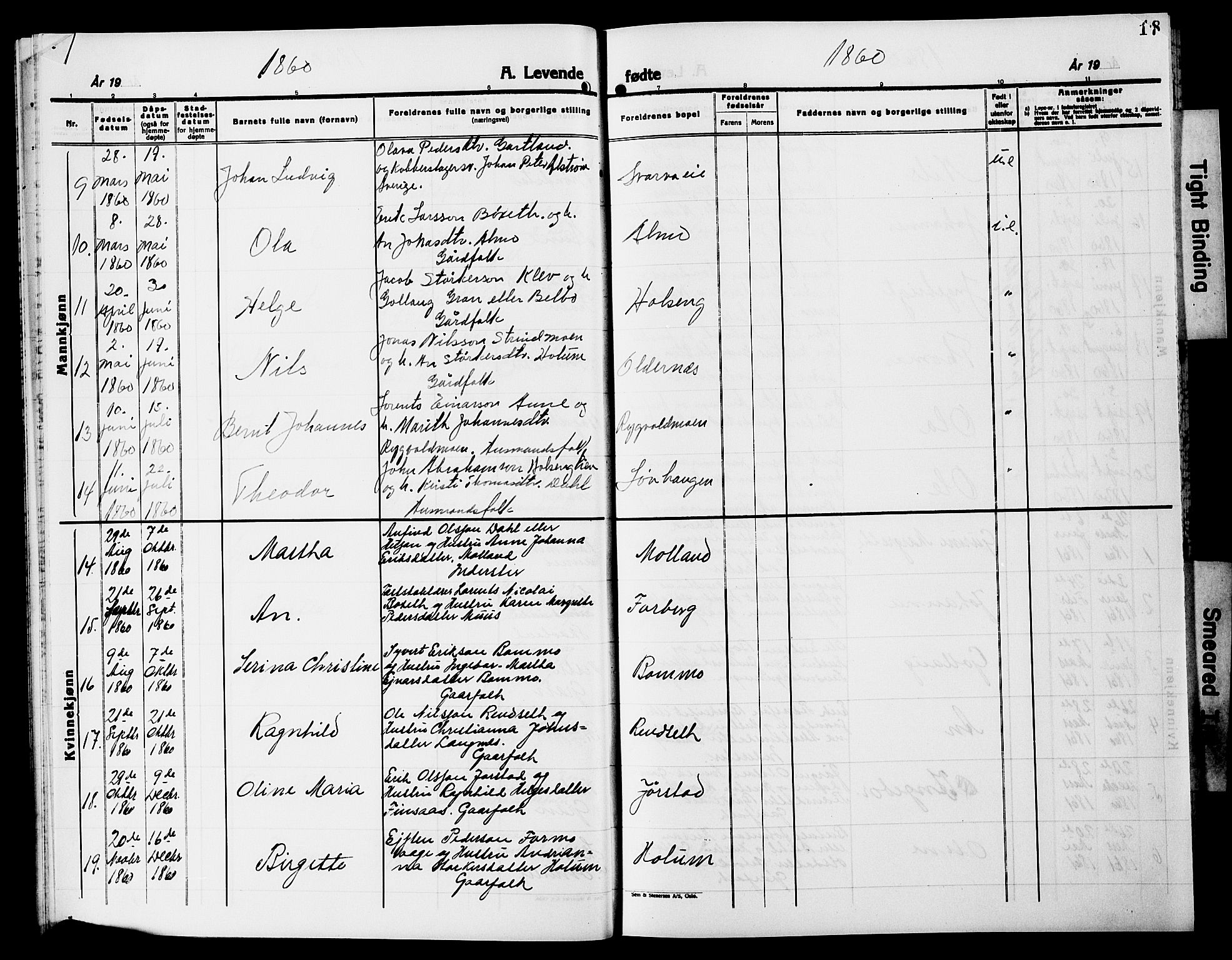 Ministerialprotokoller, klokkerbøker og fødselsregistre - Nord-Trøndelag, AV/SAT-A-1458/749/L0485: Parish register (official) no. 749D01, 1857-1872, p. 17