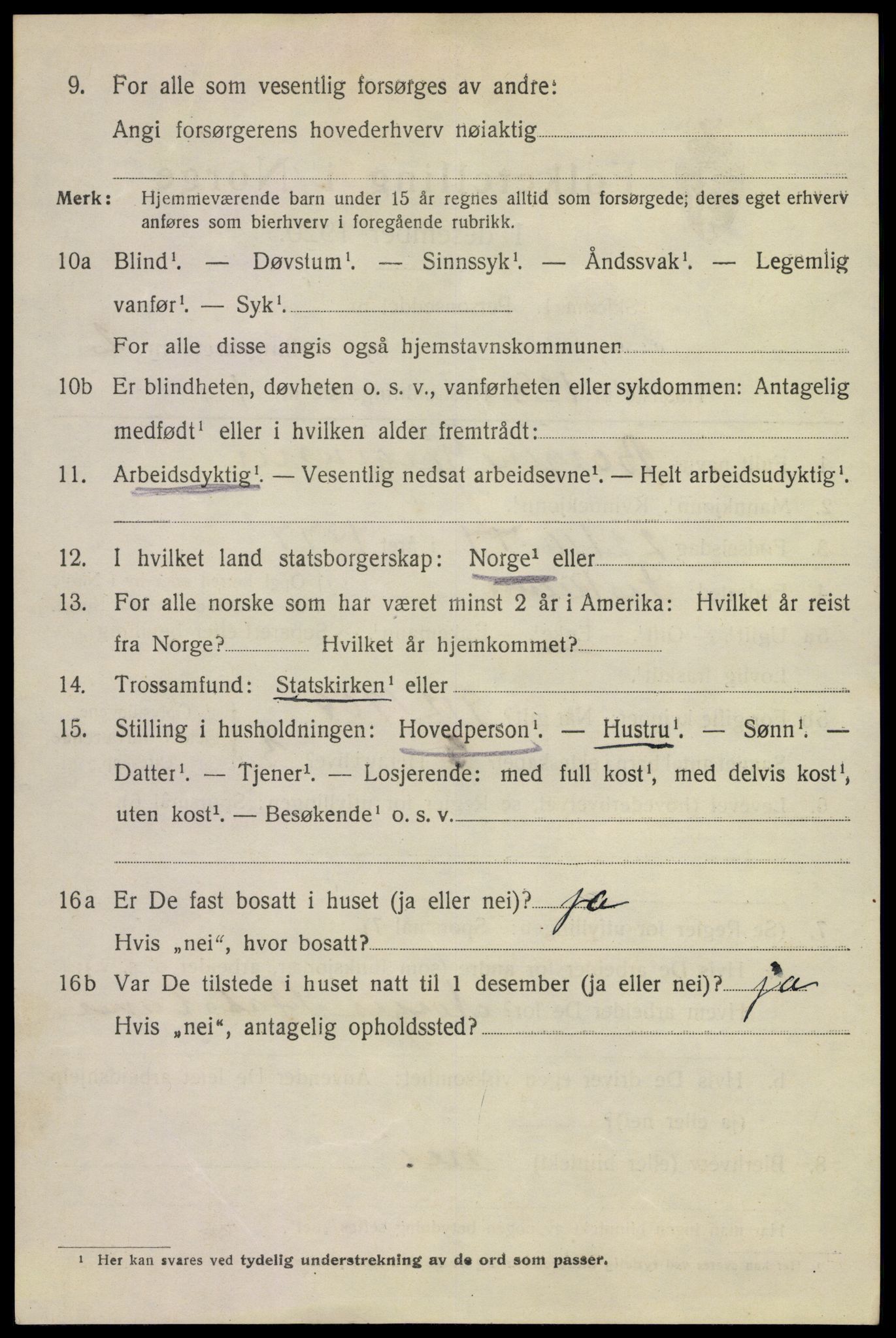 SAKO, 1920 census for Larvik, 1920, p. 12131