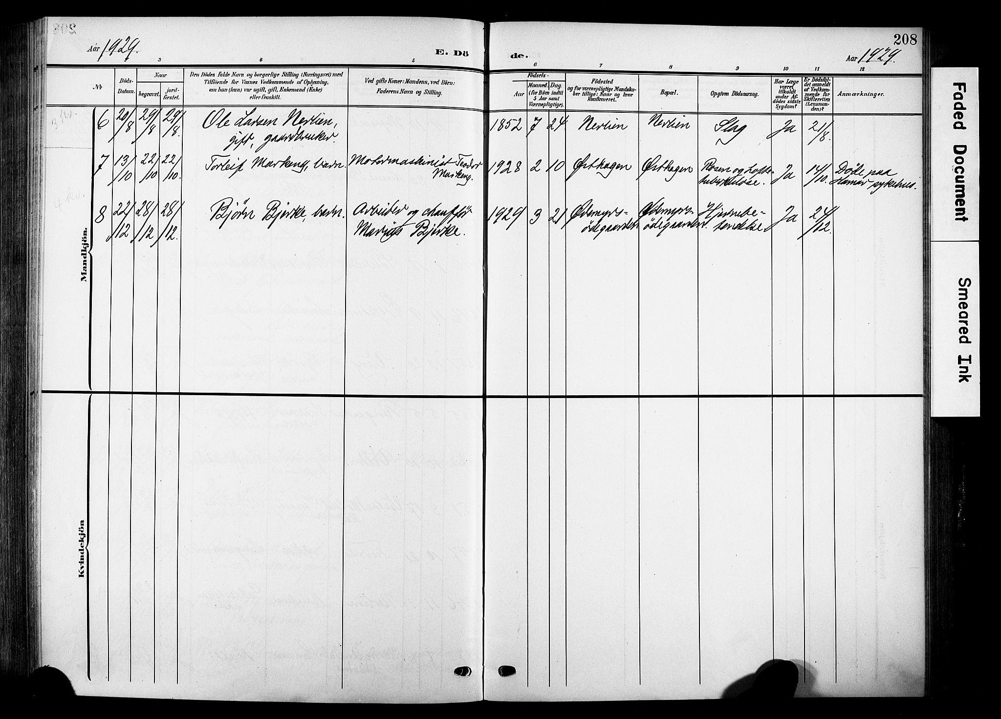 Nes prestekontor, Hedmark, AV/SAH-PREST-020/K/Ka/L0014: Parish register (official) no. 14, 1906-1929, p. 208