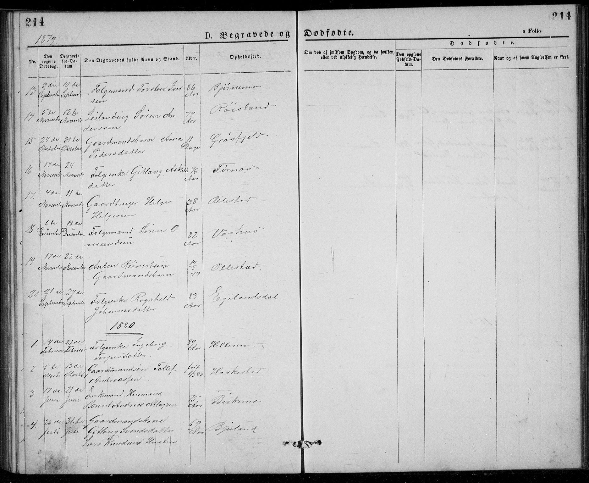 Lund sokneprestkontor, AV/SAST-A-101809/S07/L0005: Parish register (copy) no. B 5, 1875-1889, p. 214