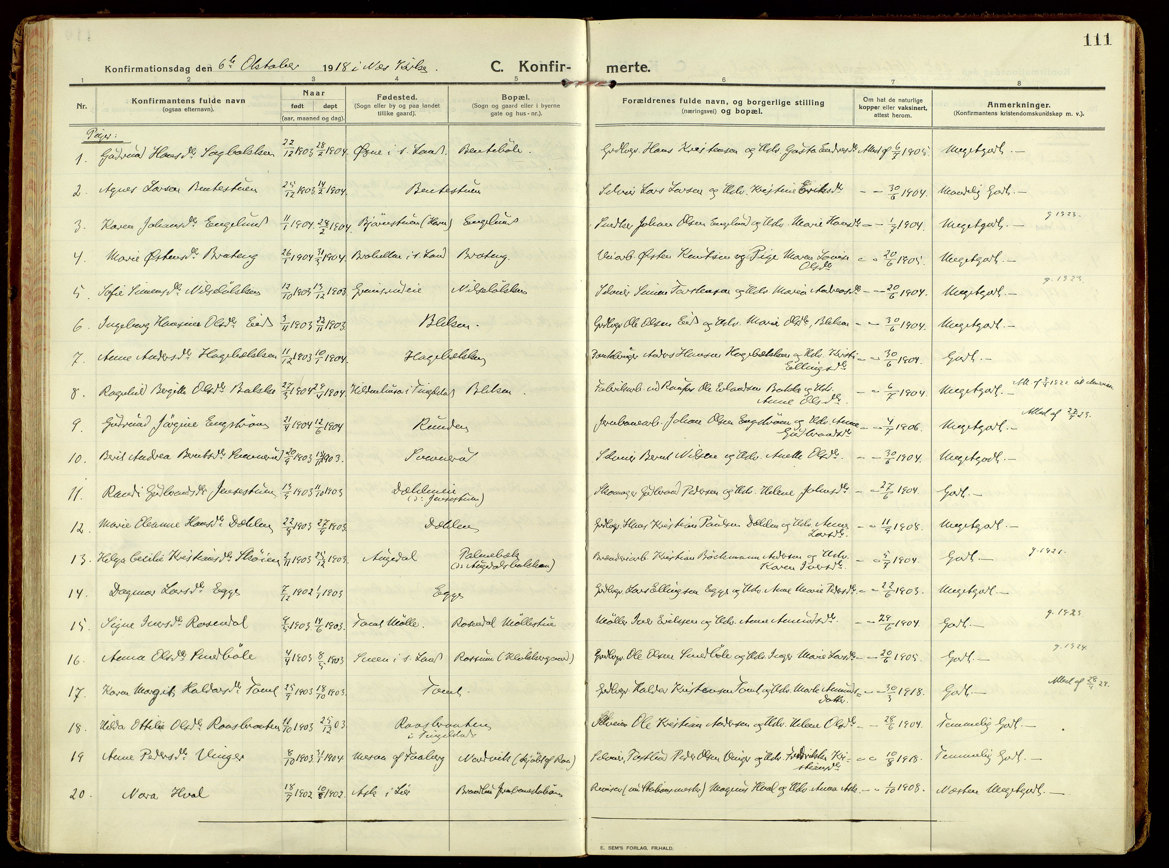 Brandbu prestekontor, AV/SAH-PREST-114/H/Ha/Haa/L0004: Parish register (official) no. 4, 1913-1923, p. 111