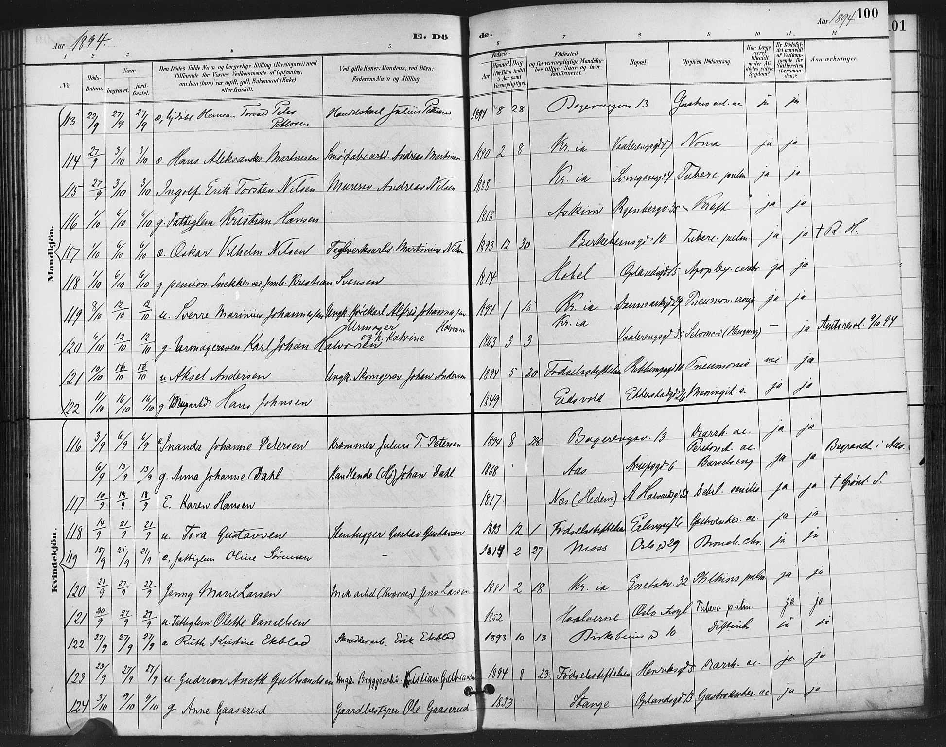 Gamlebyen prestekontor Kirkebøker, AV/SAO-A-10884/F/Fa/L0009: Parish register (official) no. 9, 1888-1909, p. 100