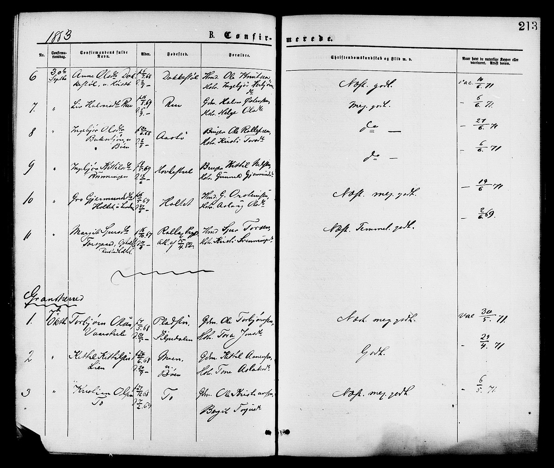 Gransherad kirkebøker, AV/SAKO-A-267/F/Fa/L0004: Parish register (official) no. I 4, 1871-1886, p. 213