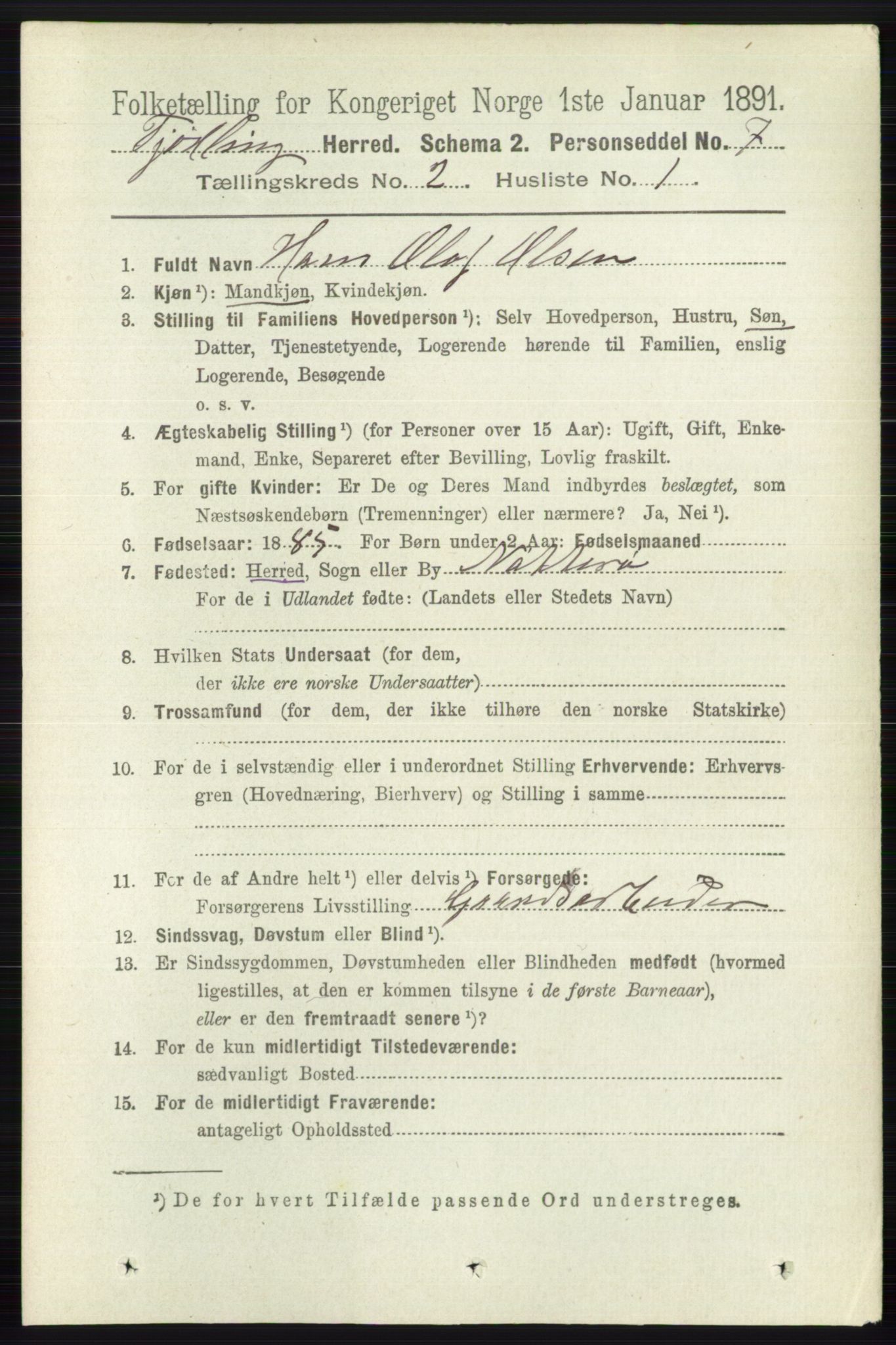 RA, 1891 census for 0725 Tjølling, 1891, p. 506