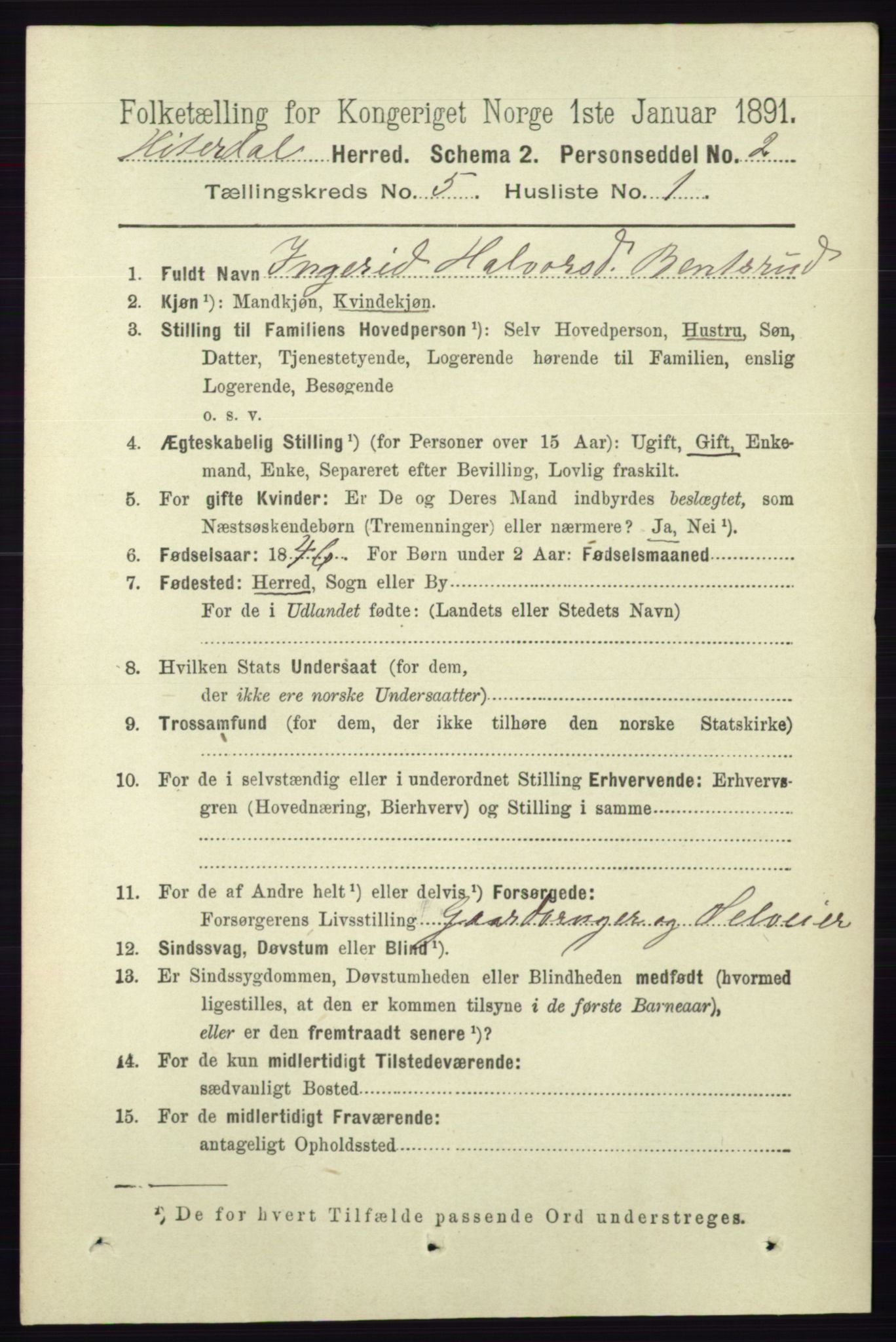 RA, 1891 census for 0823 Heddal, 1891, p. 1996