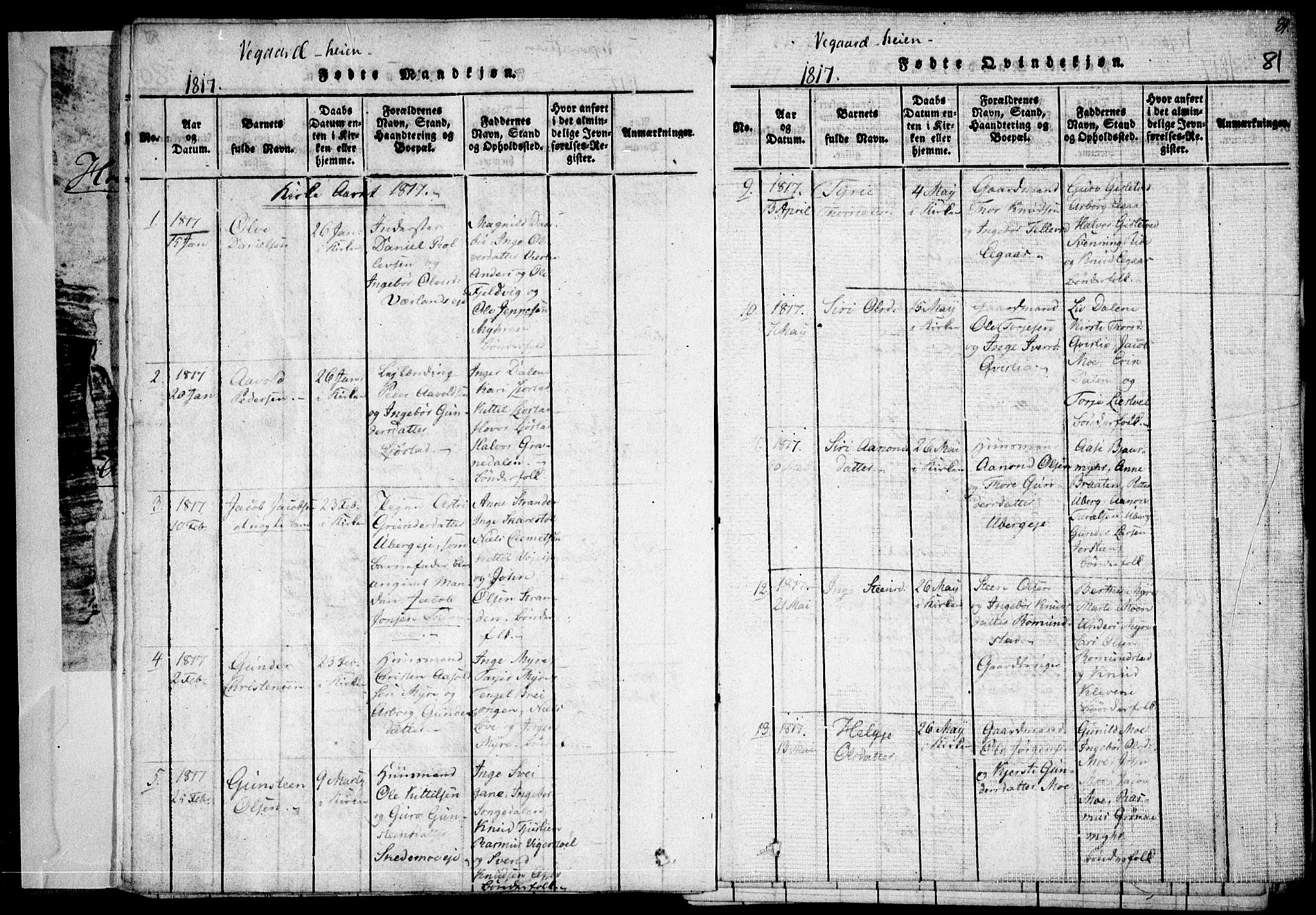 Holt sokneprestkontor, AV/SAK-1111-0021/F/Fa/L0005: Parish register (official) no. A 5, 1813-1821, p. 81