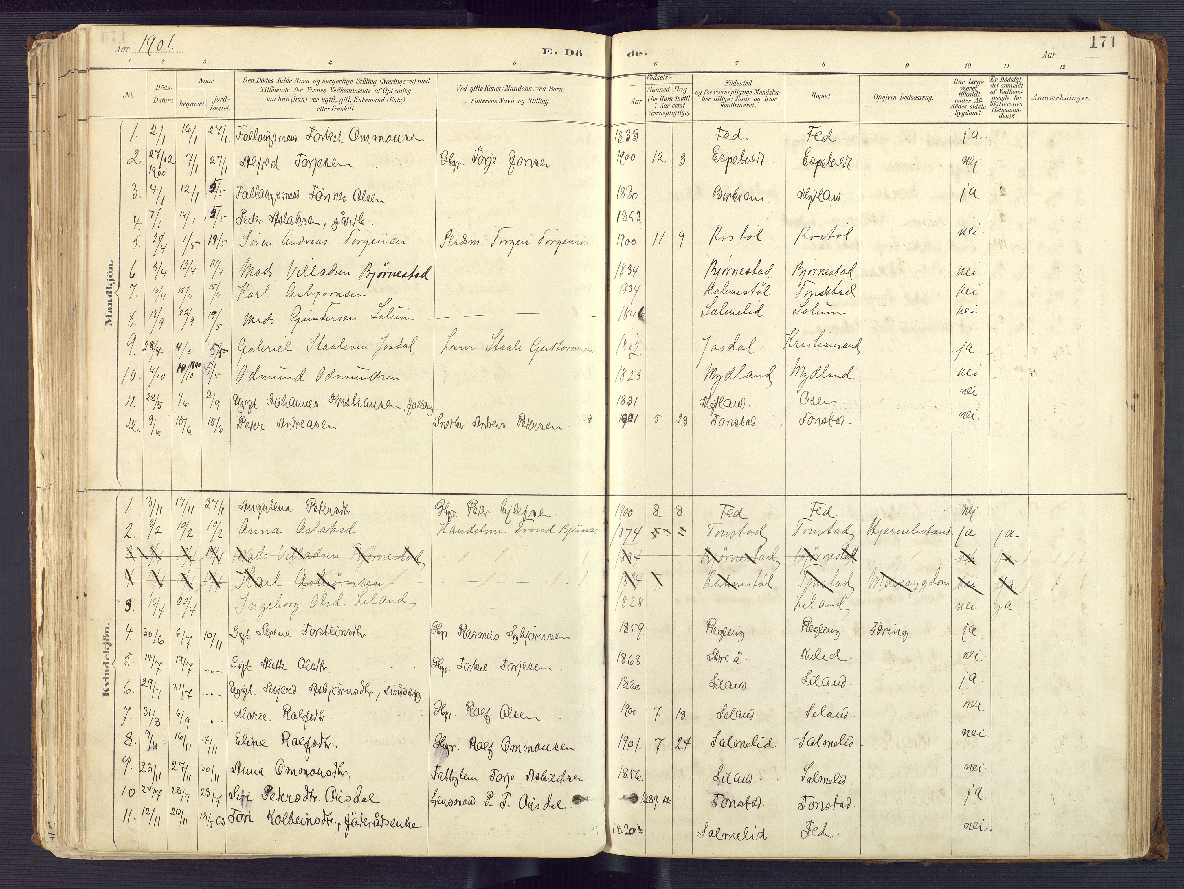 Sirdal sokneprestkontor, AV/SAK-1111-0036/F/Fa/Fab/L0004: Parish register (official) no. A 4, 1887-1919, p. 171