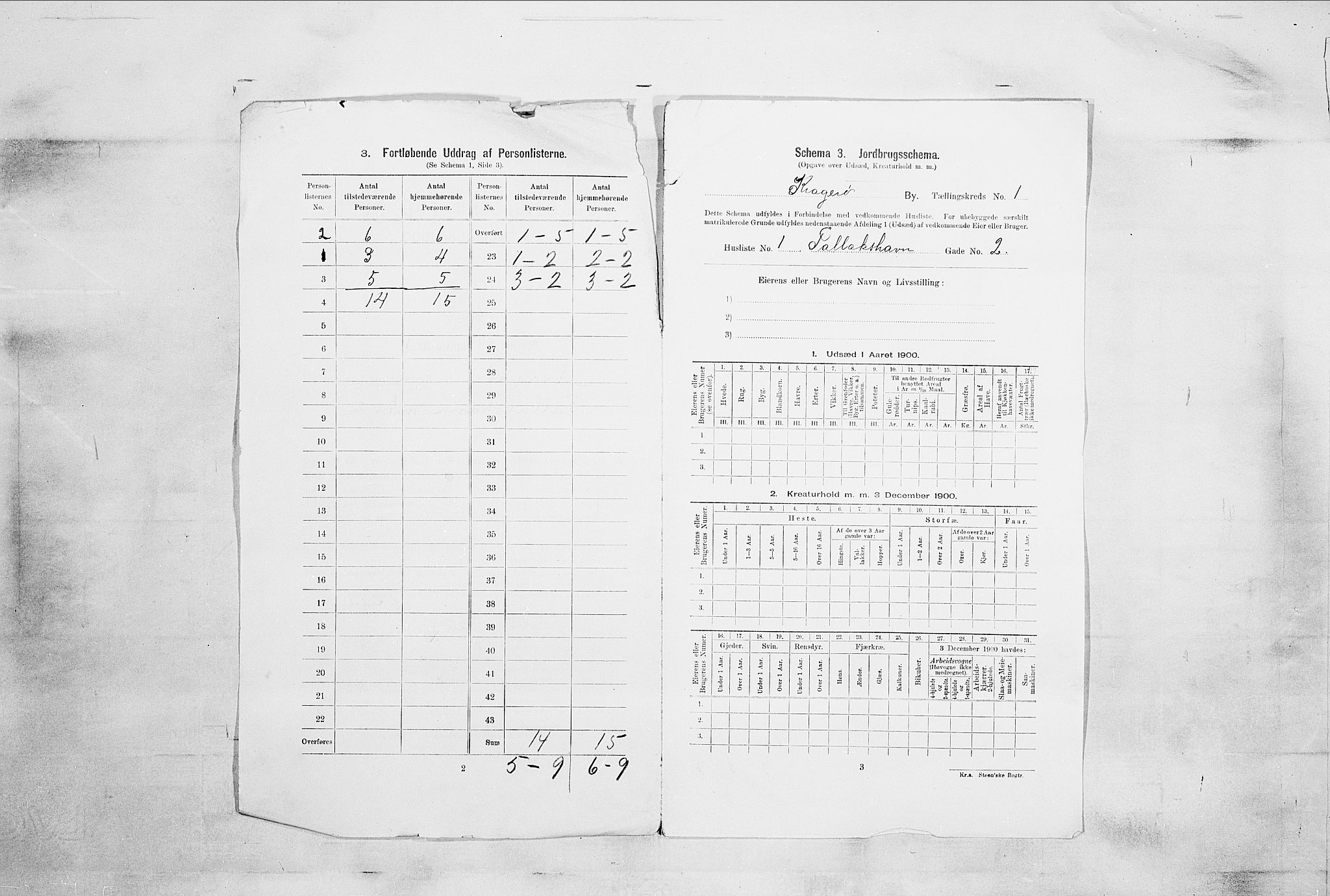 SAKO, 1900 census for Kragerø, 1900, p. 67