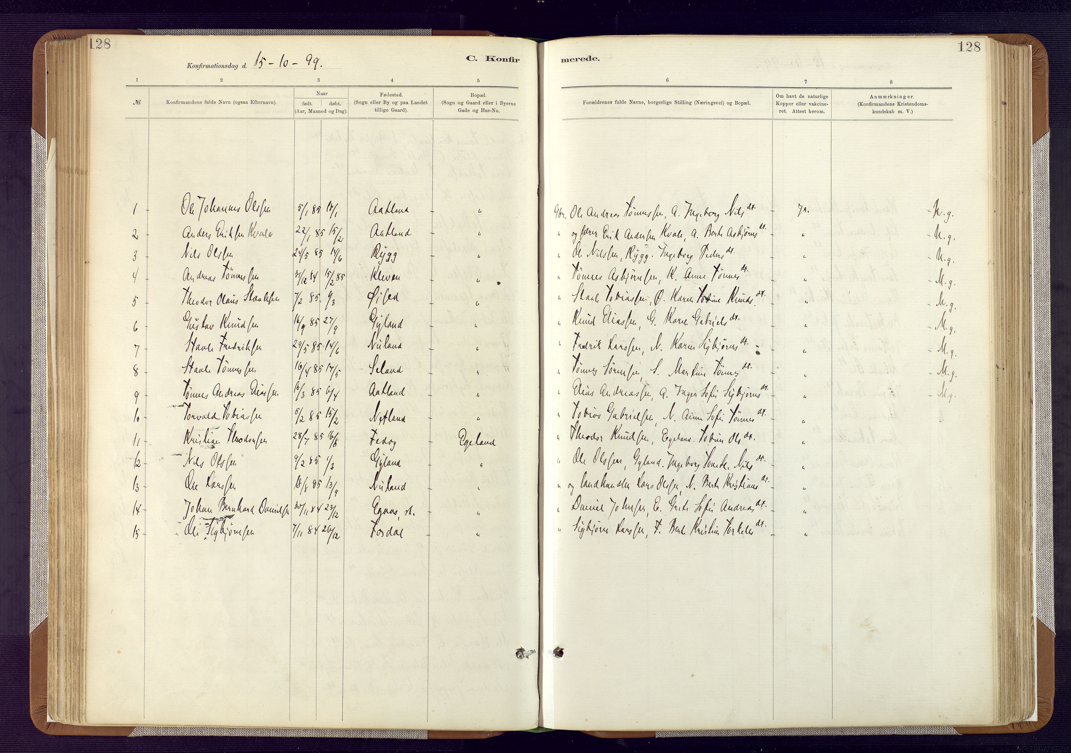 Bakke sokneprestkontor, SAK/1111-0002/F/Fa/Fab/L0003: Parish register (official) no. A 3, 1884-1921, p. 128