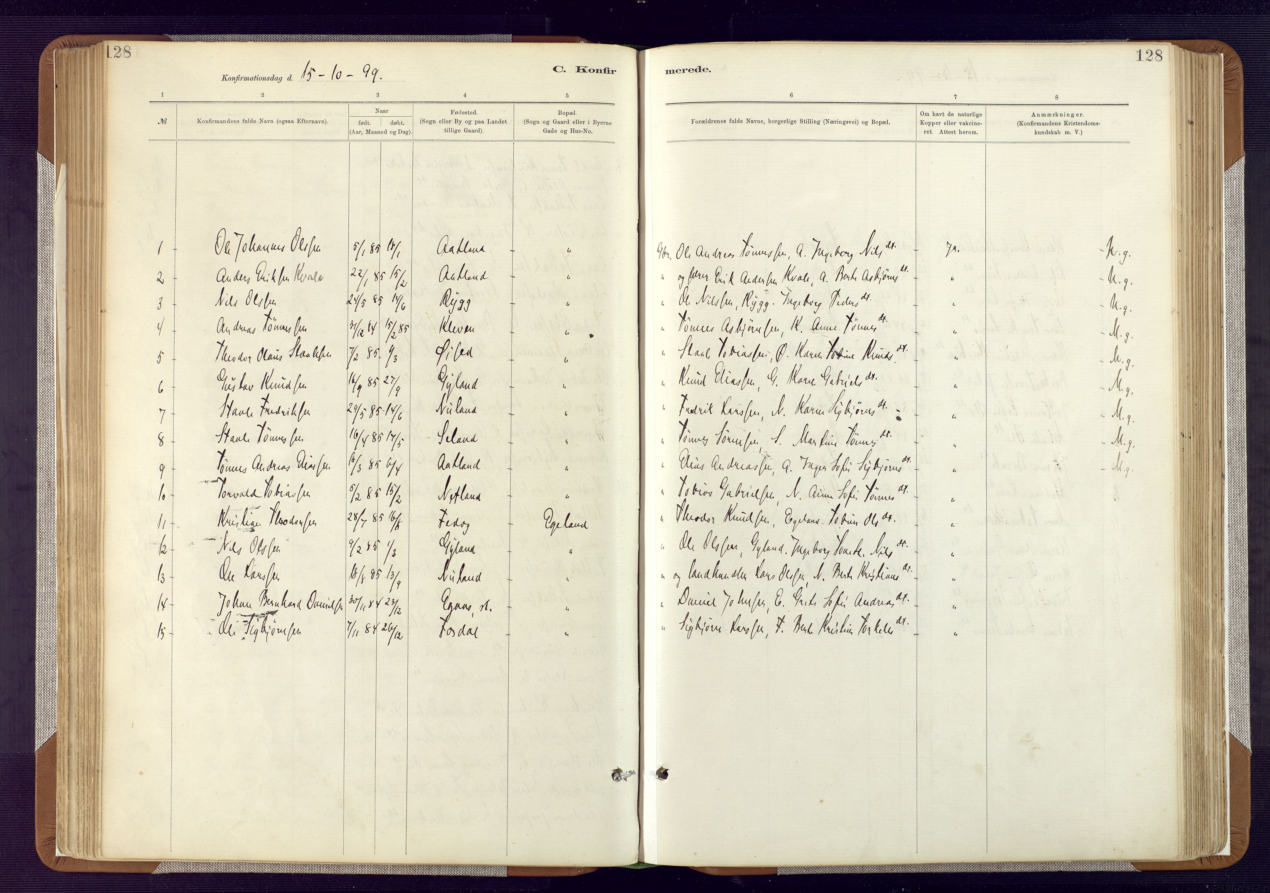 Bakke sokneprestkontor, AV/SAK-1111-0002/F/Fa/Fab/L0003: Parish register (official) no. A 3, 1884-1921, p. 128