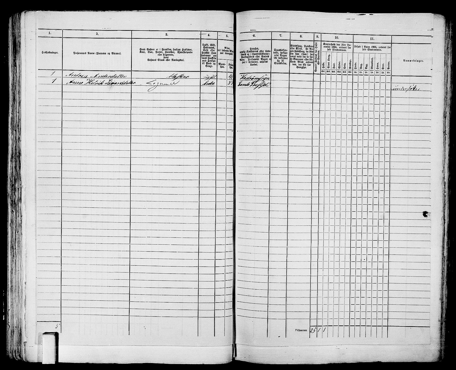 RA, 1865 census for Larvik, 1865, p. 68